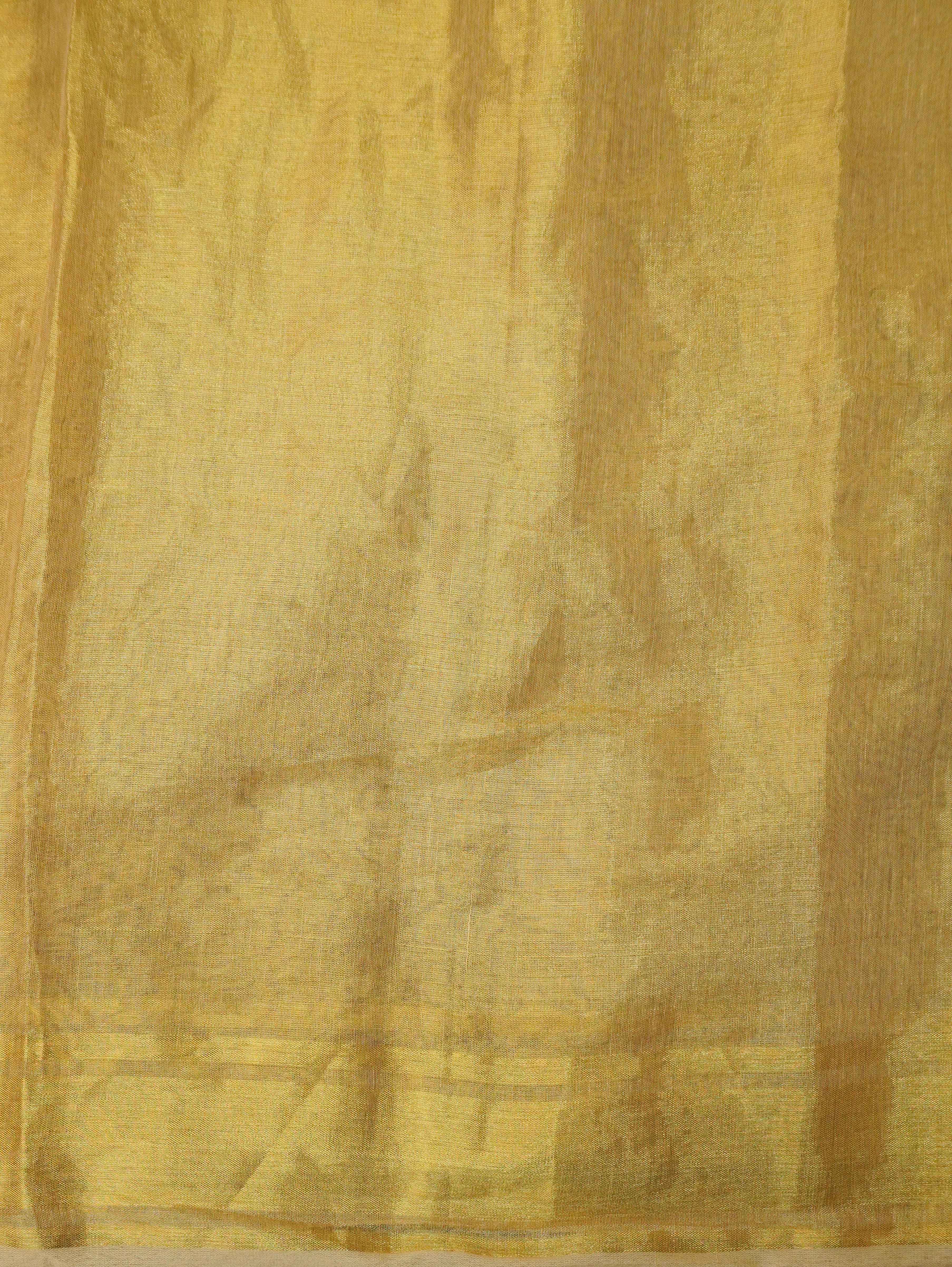 Tissue Silk Saree | TTDS3421