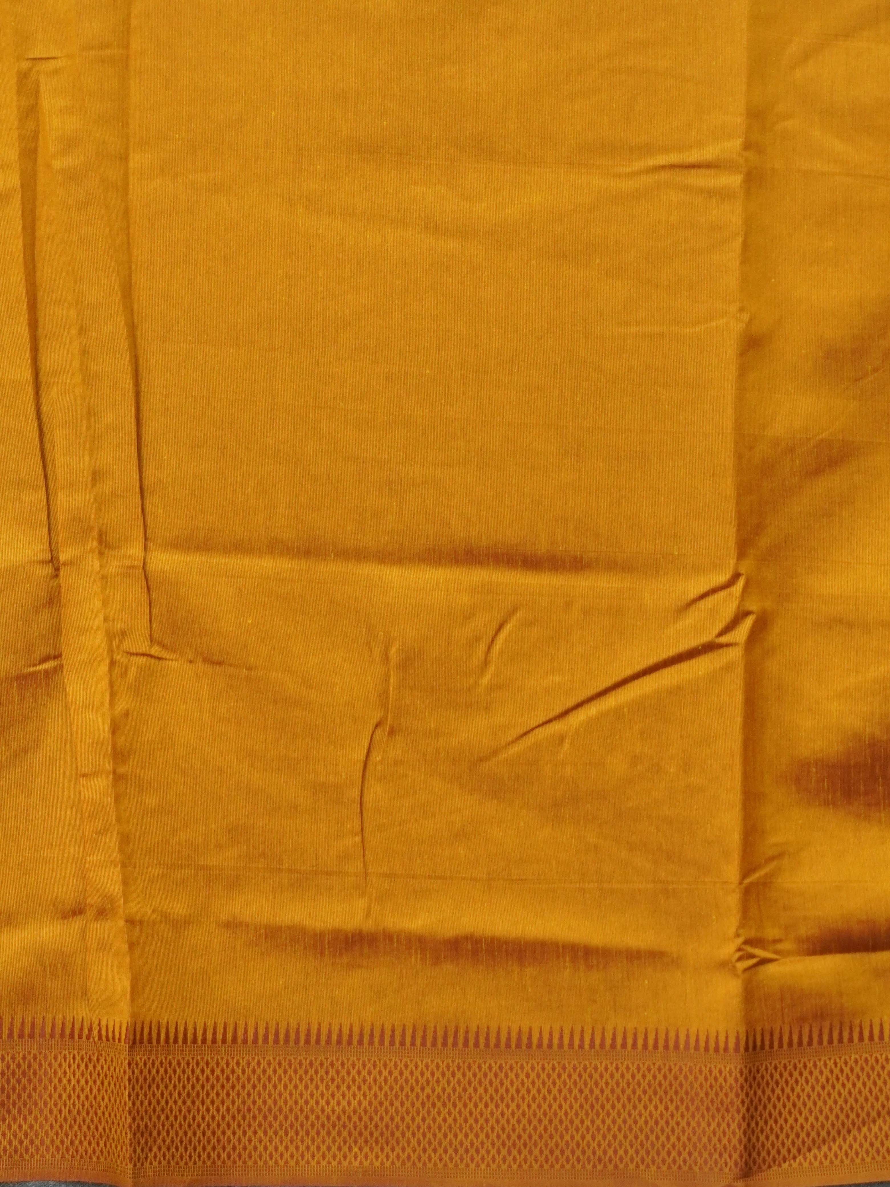 Semi Tussar Silk Saree | TTDS3377