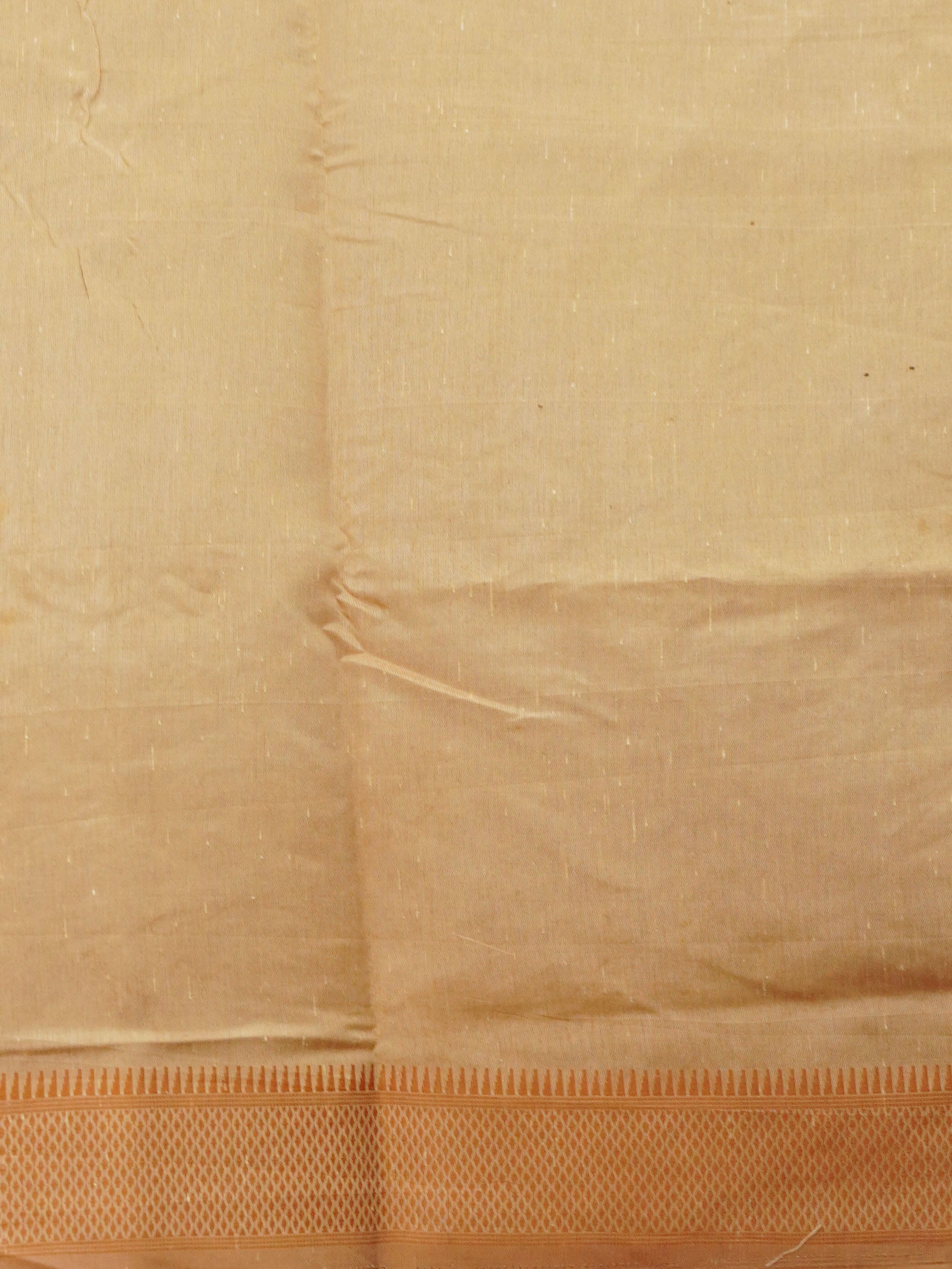 Semi Tussar Silk Saree | TTDS3377