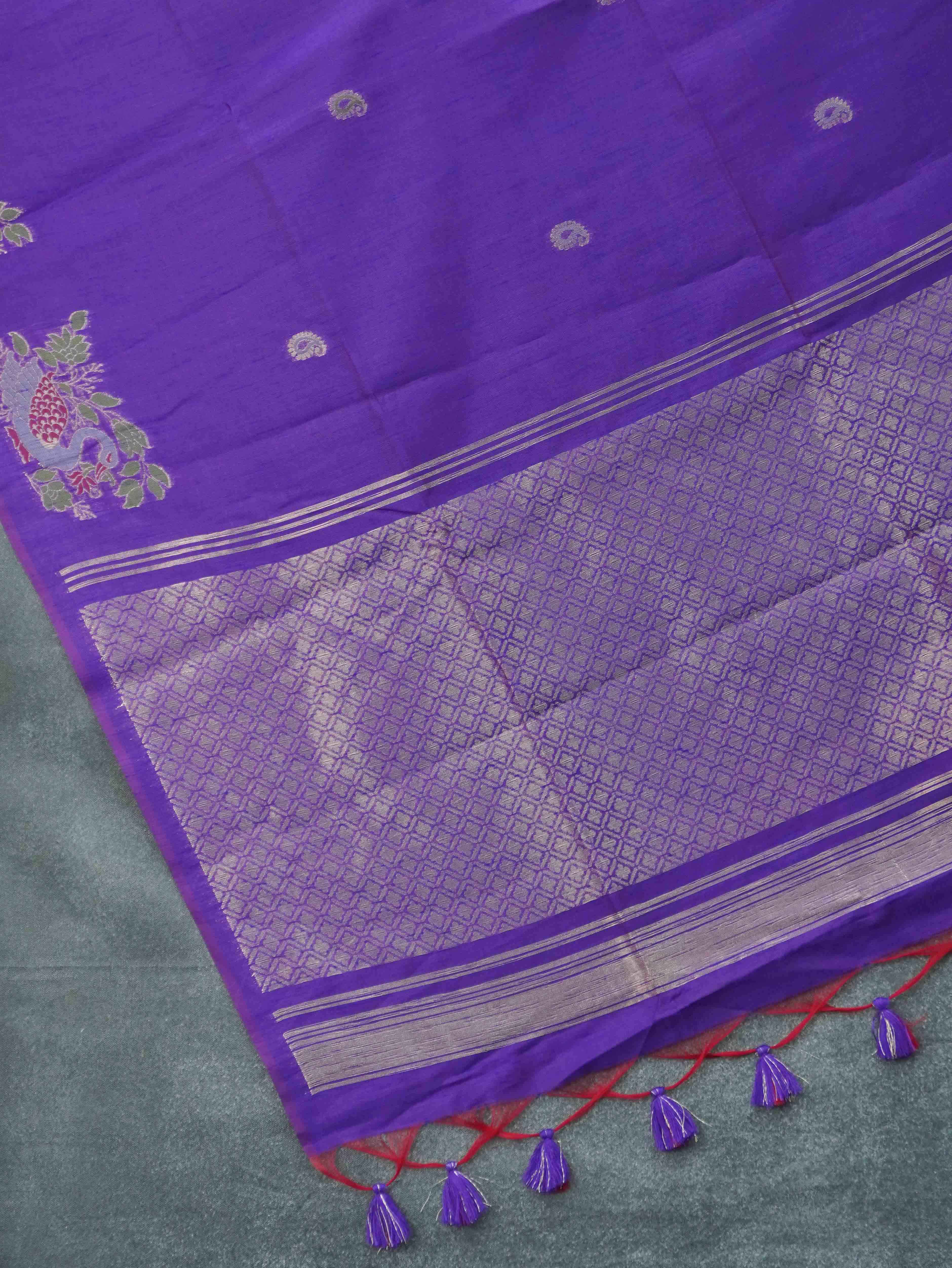 Raw Silk Saree | TTDS3380