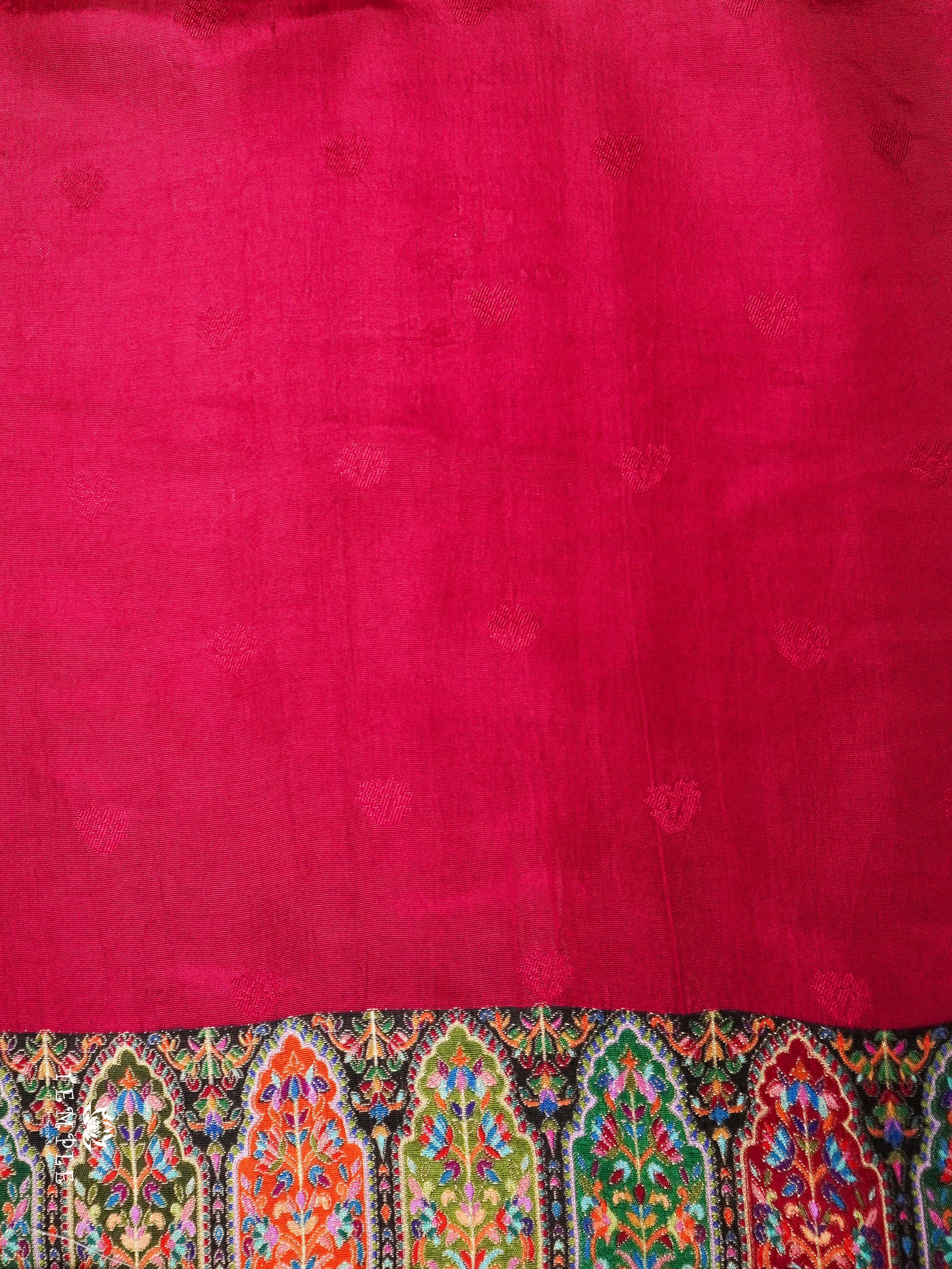 Pashmina Silk Saree | TTDS2028
