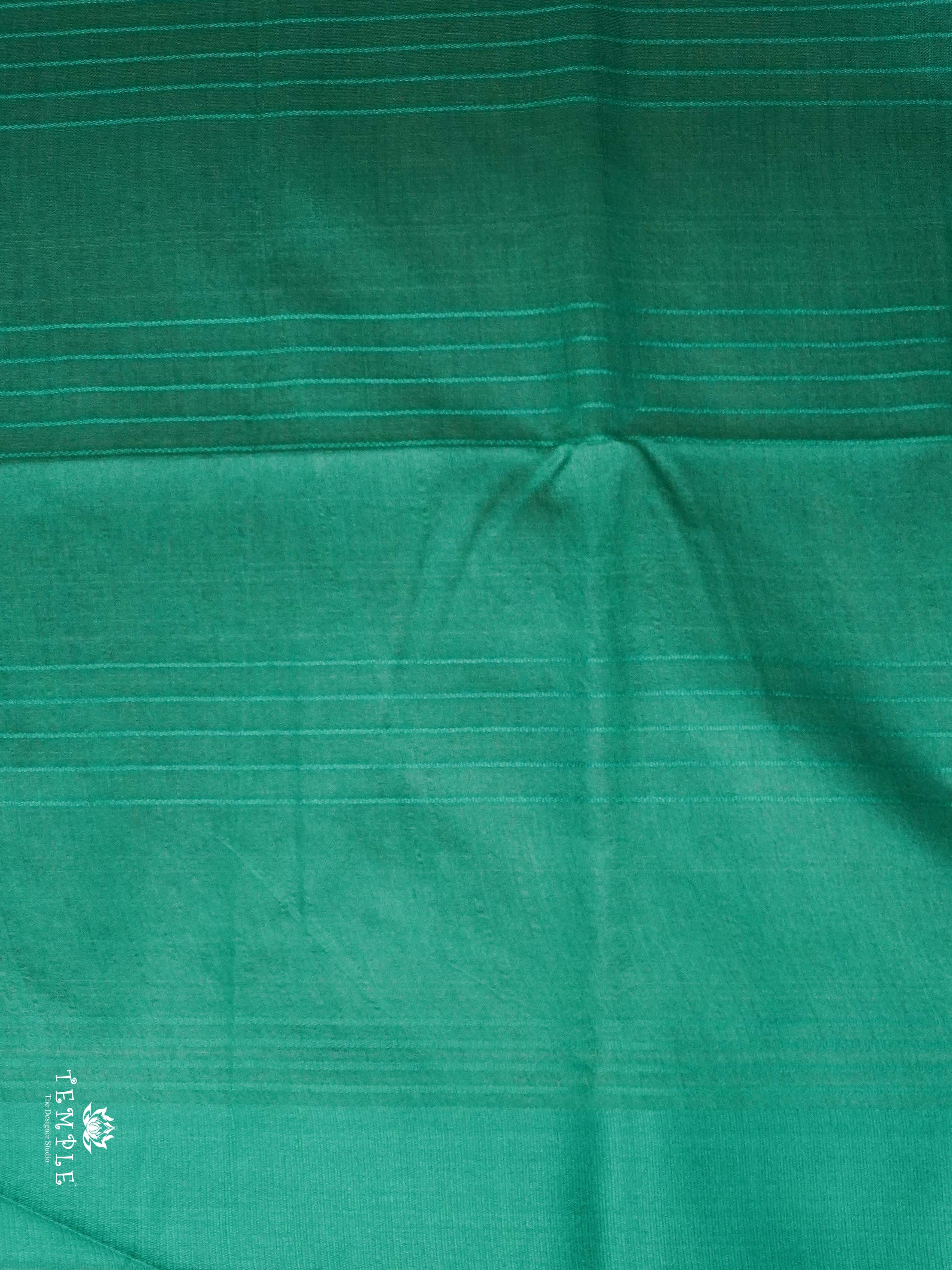 Raw Silk Saree | TTDS2033