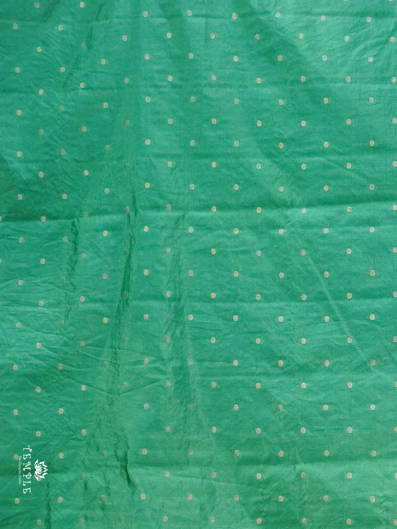 Tussar Silk Saree | TTDS2990