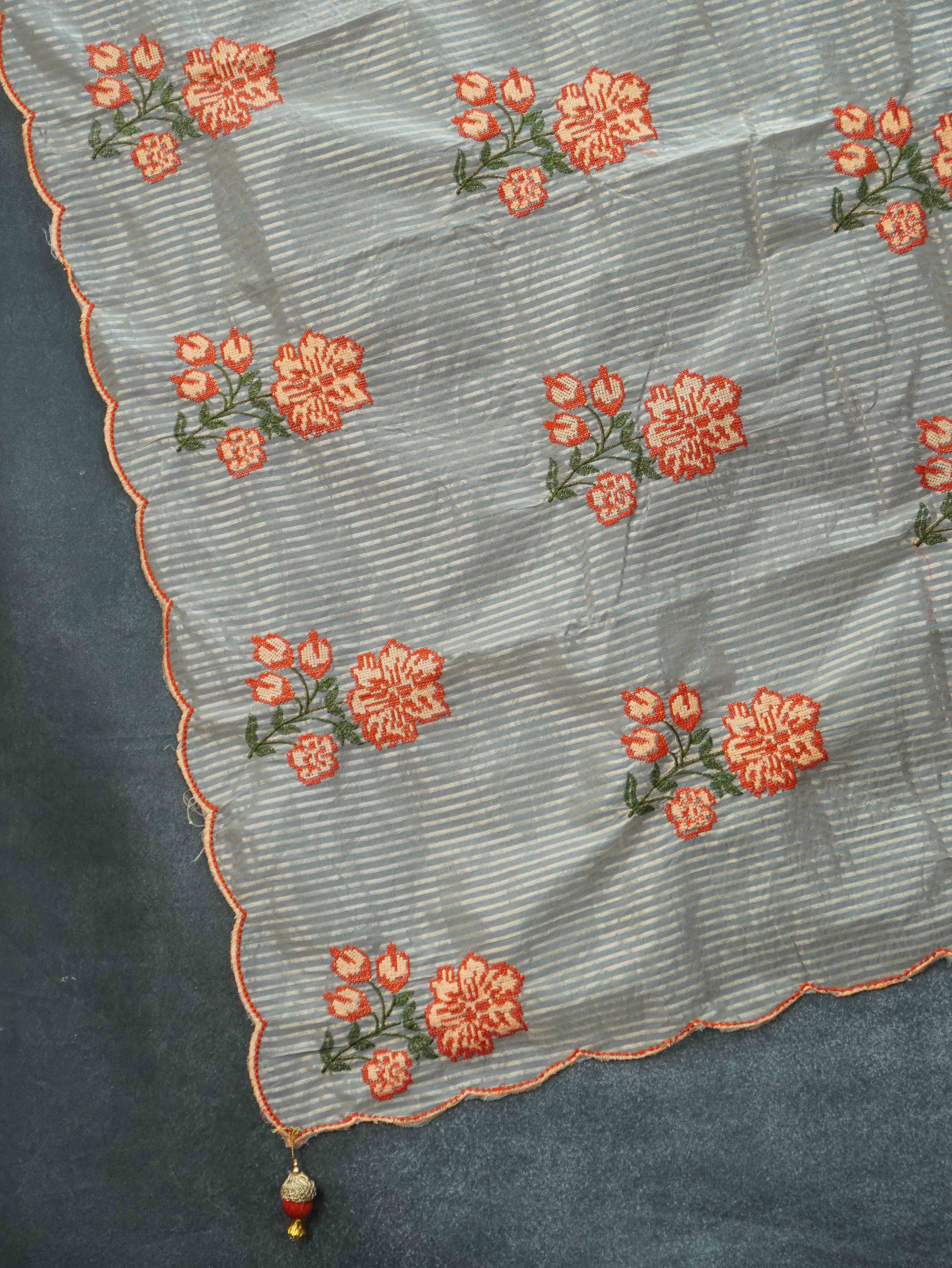 Tissue Organza Saree | TTDS3444