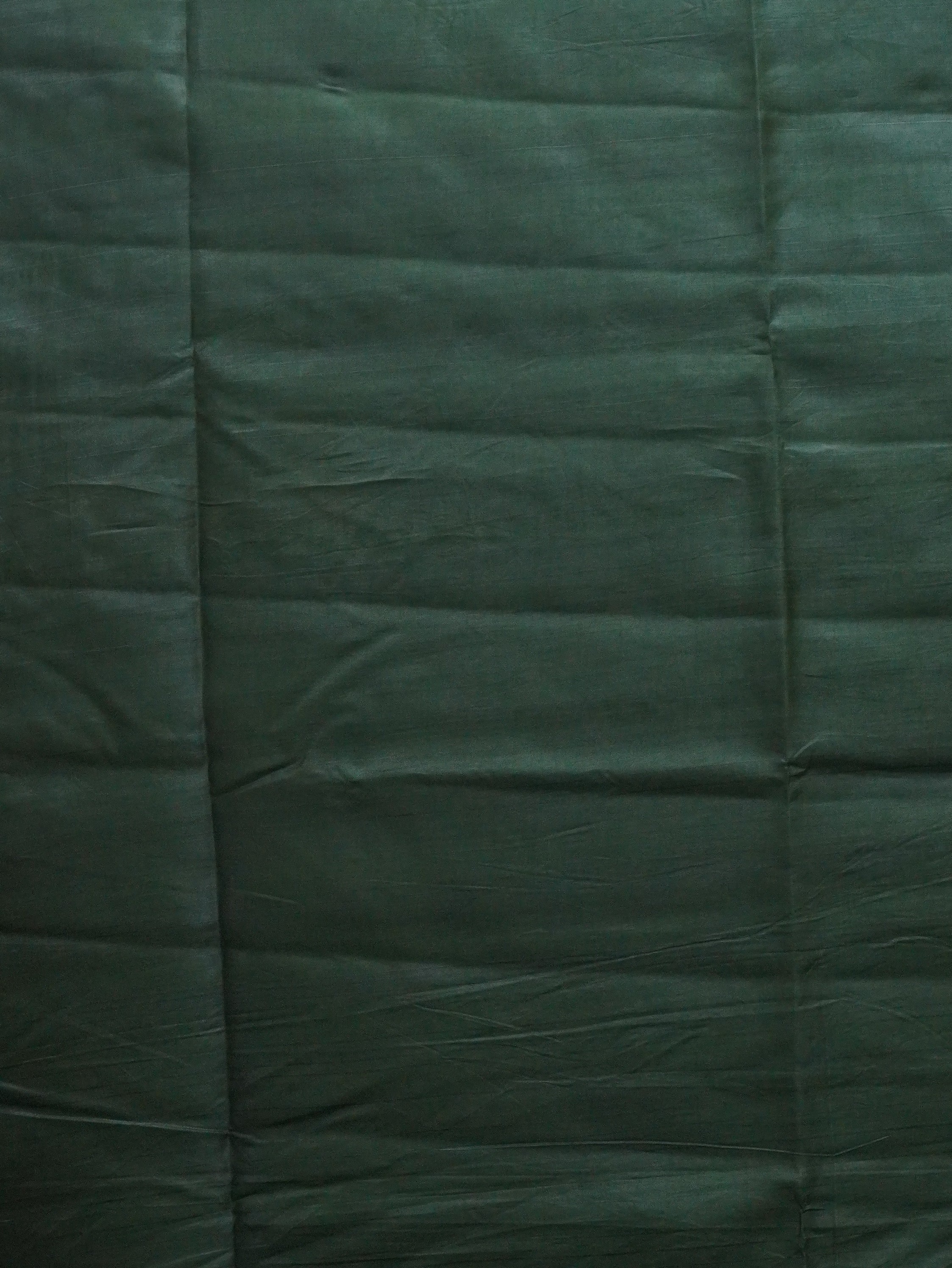 Raw Silk Saree | TTDS3447
