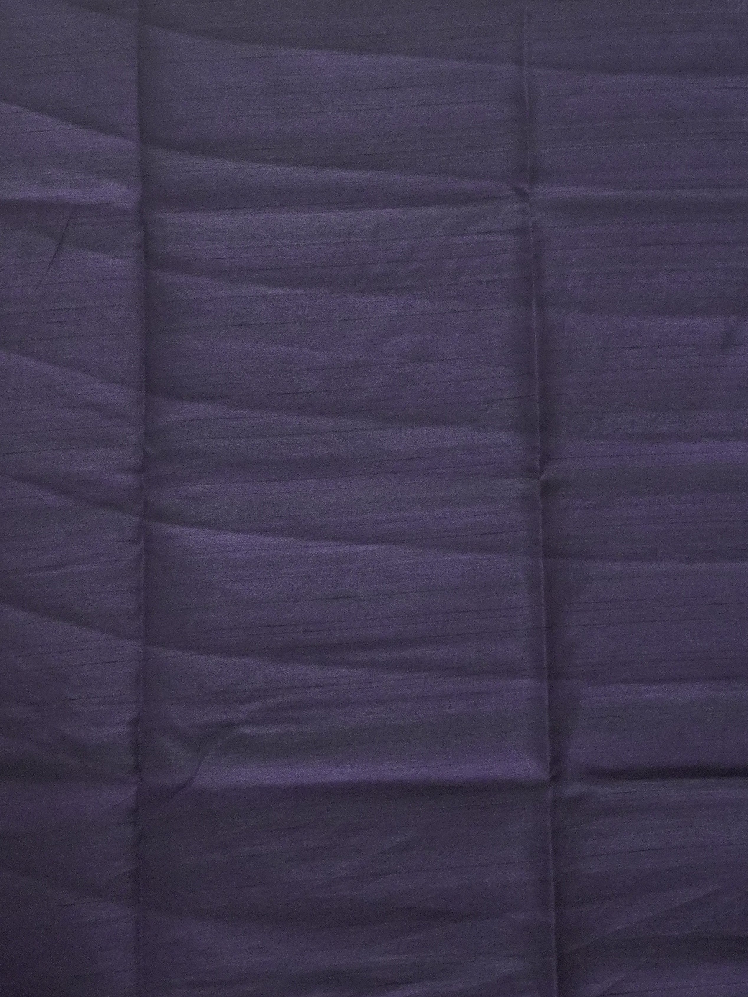 Raw Silk Saree | TTDS3447