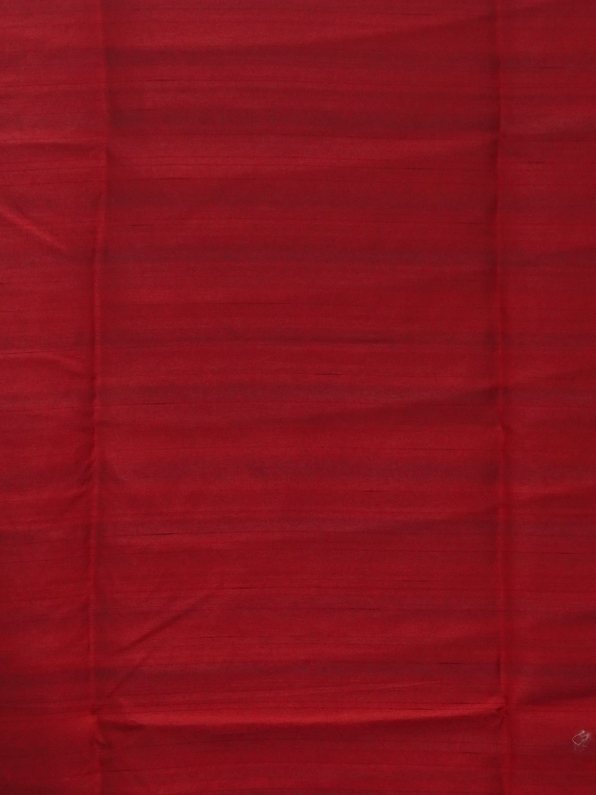Raw Silk Saree | TTDS3447