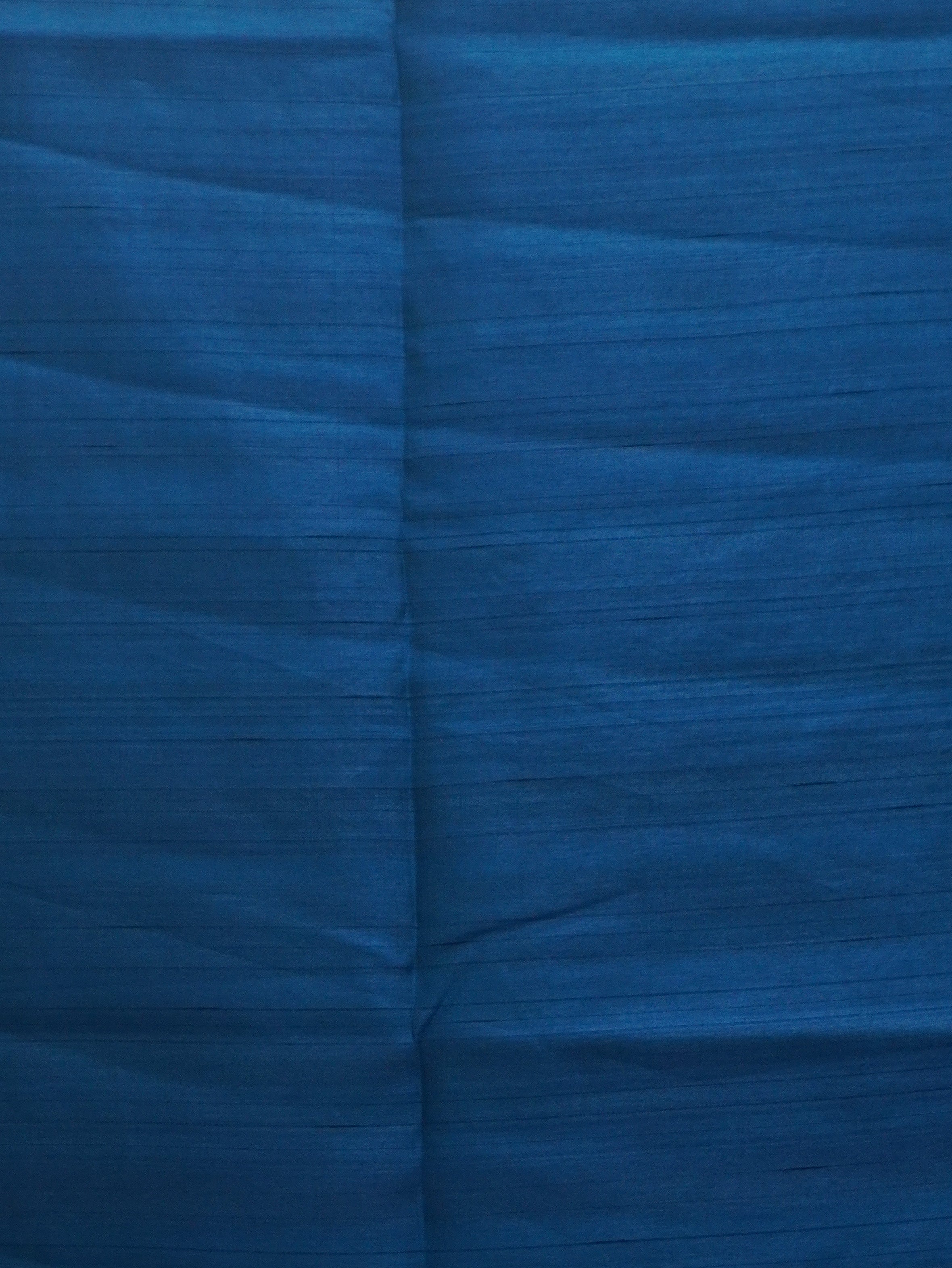 Raw Silk Saree | TTDS3447