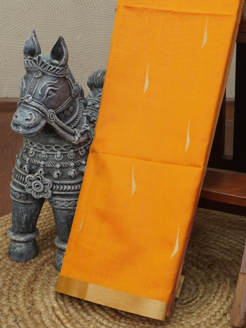 Raw Silk Saree | TTDS3467