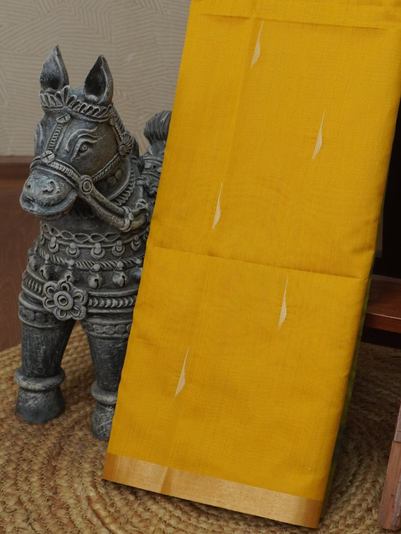 Raw Silk Saree | TTDS3467
