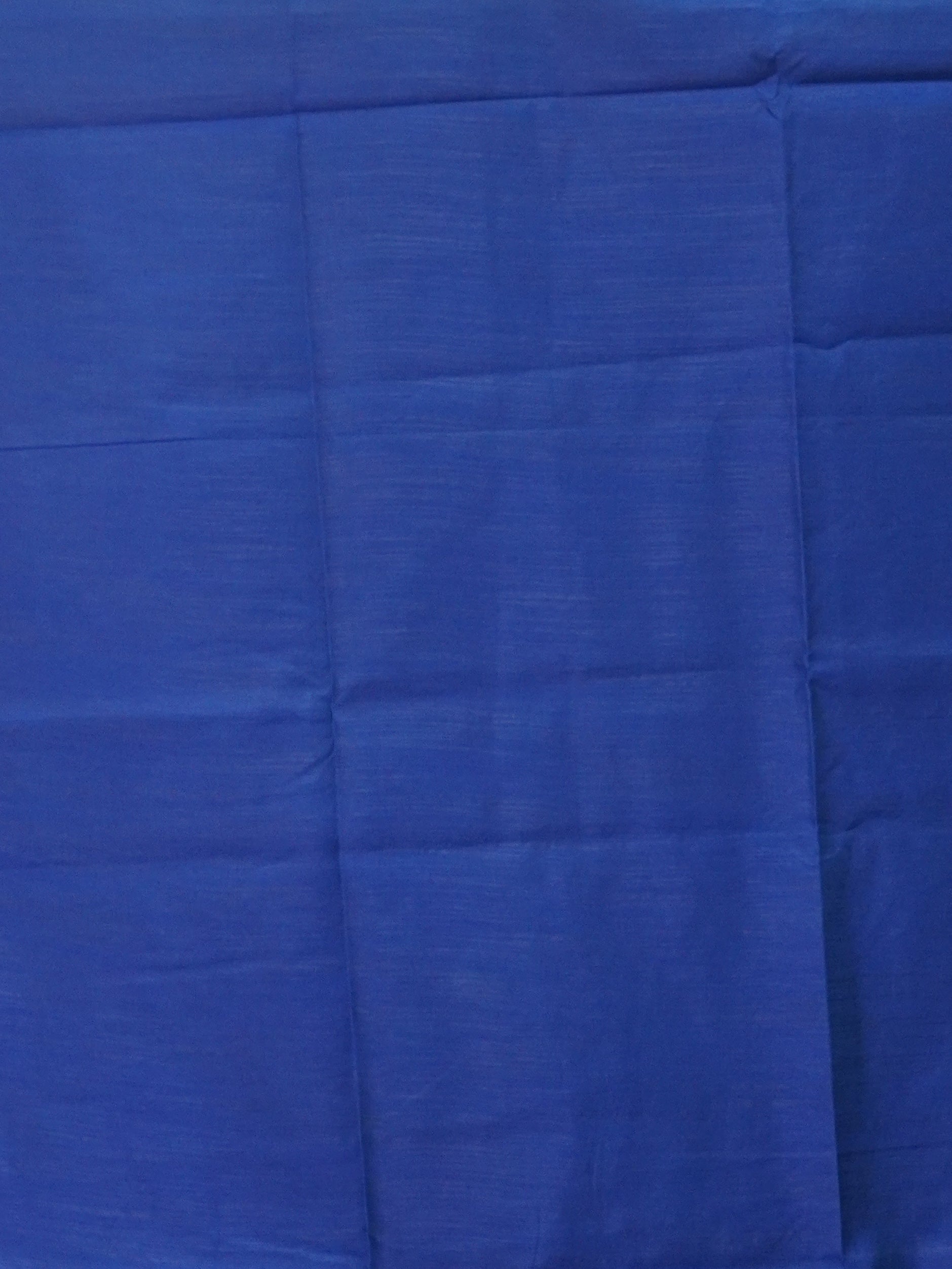 Raw Silk Saree | TTDS3467