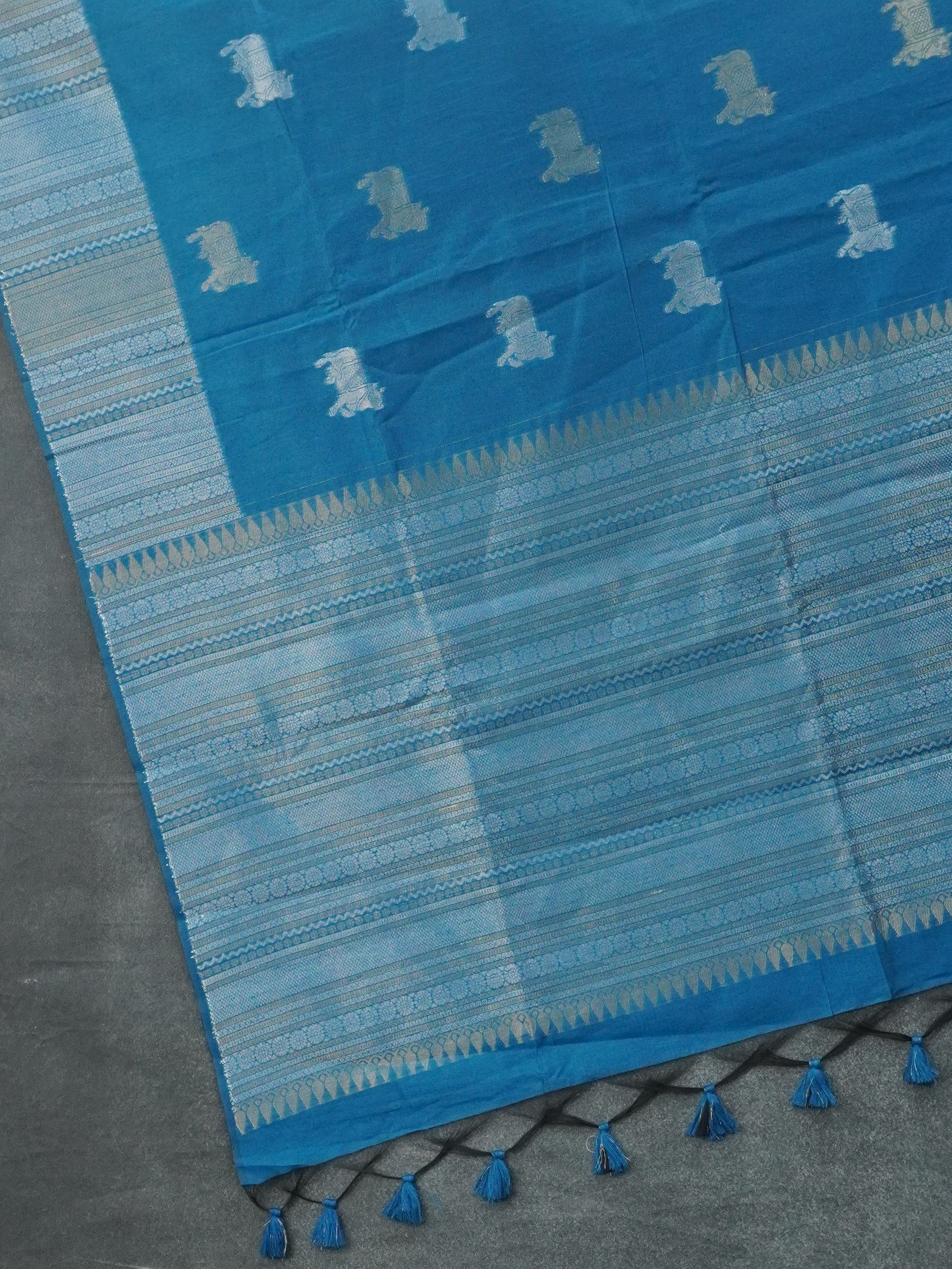 Raw Silk Saree | TTDS3453