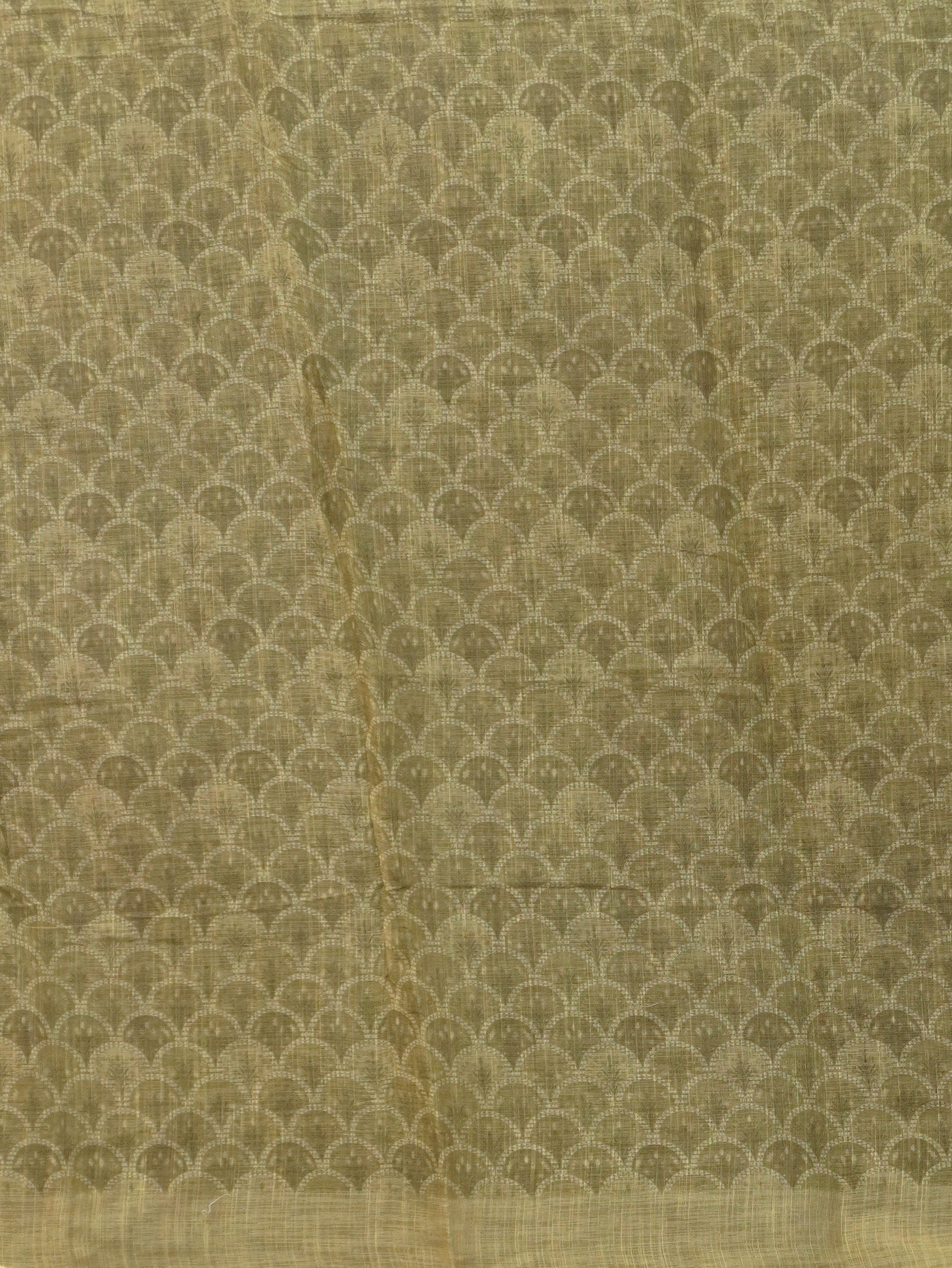 Linen Cotton Saree | TTDS3457