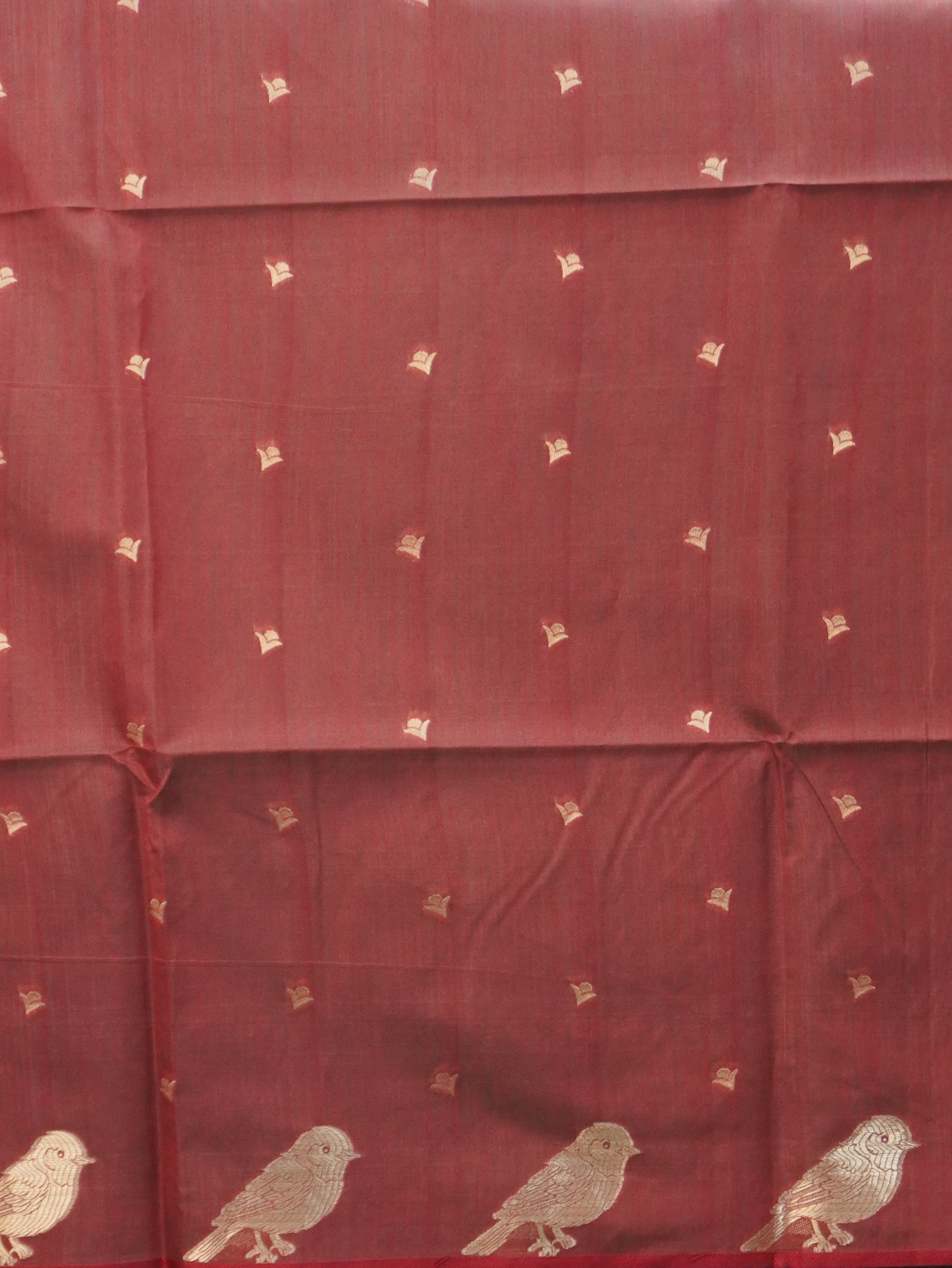 Raw Silk Saree | TTDS3460
