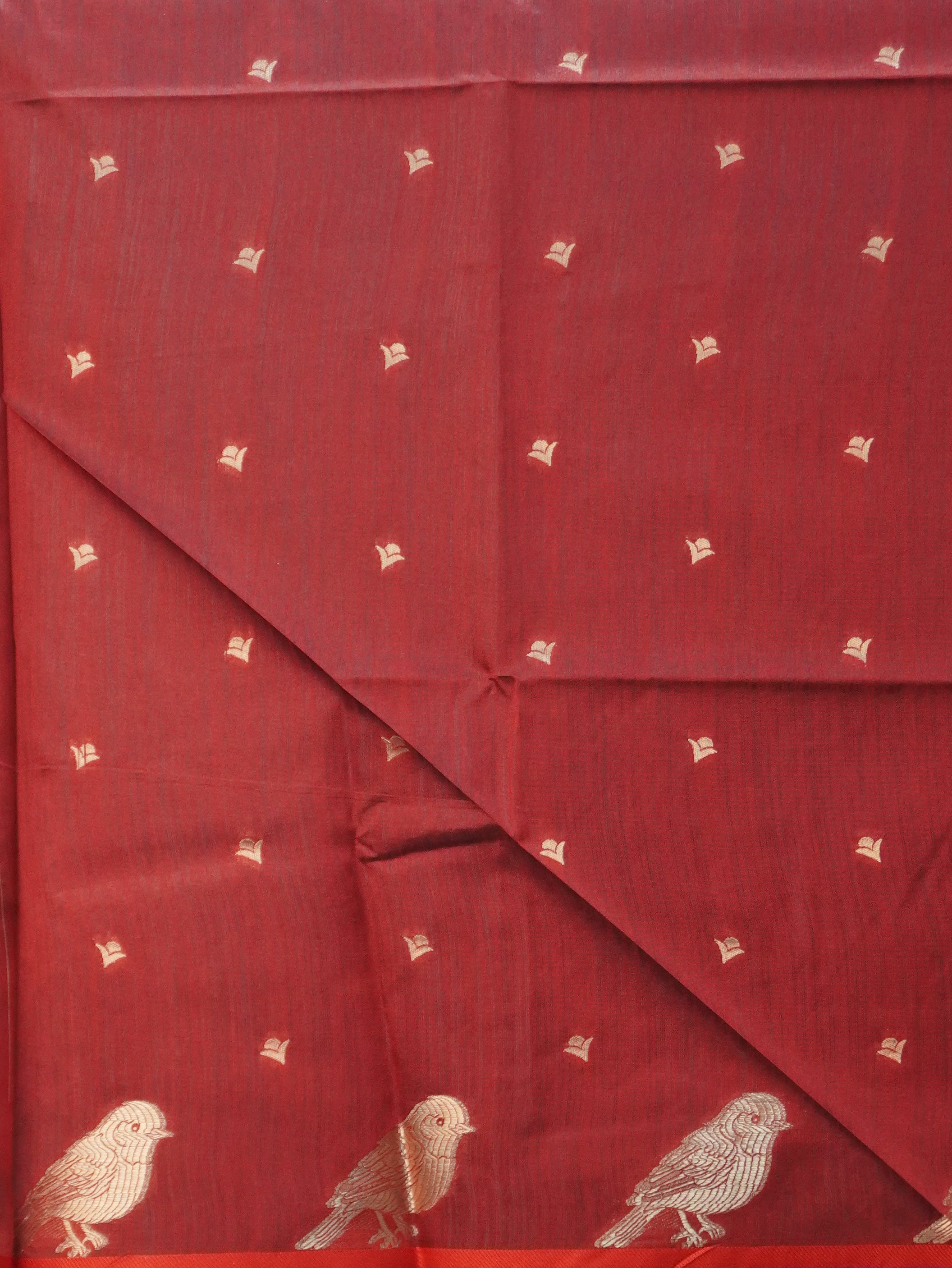 Raw Silk Saree | TTDS3460