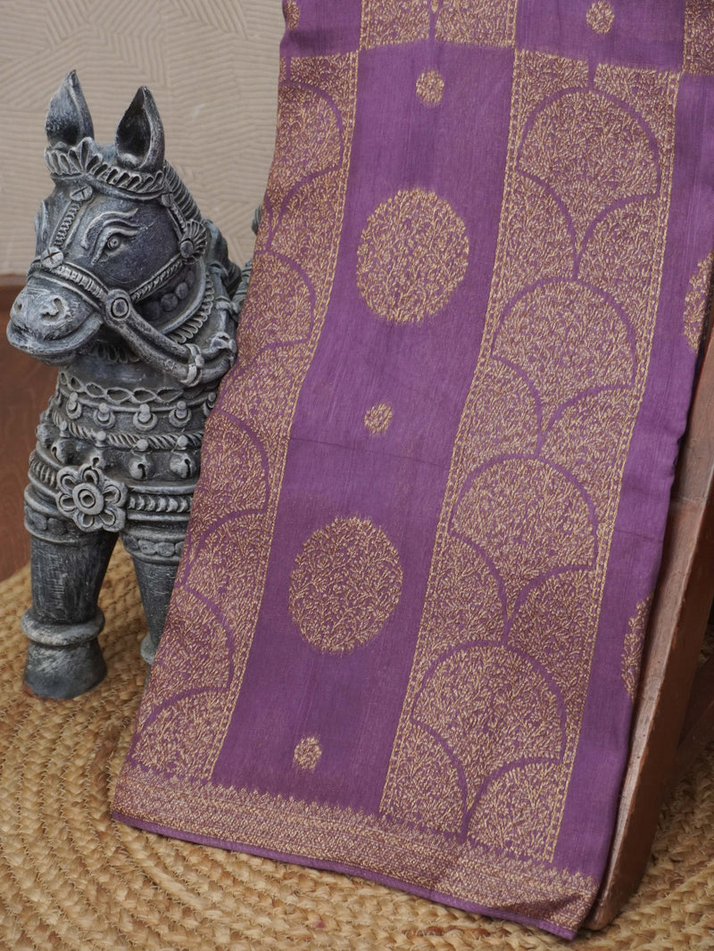 Banarasi Raw Silk Saree | TTDS3470