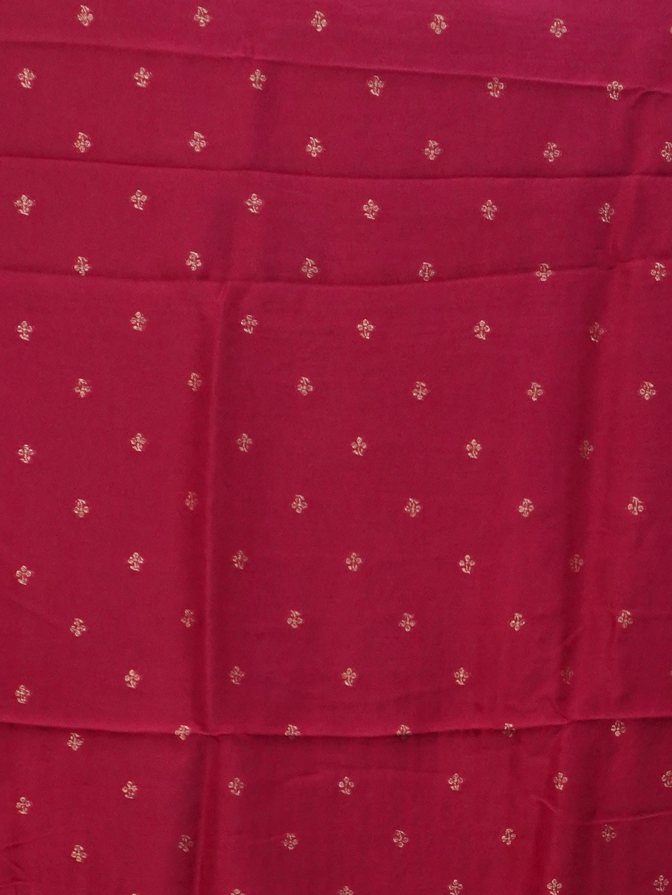 Banarasi Raw Silk Saree | TTDS3476