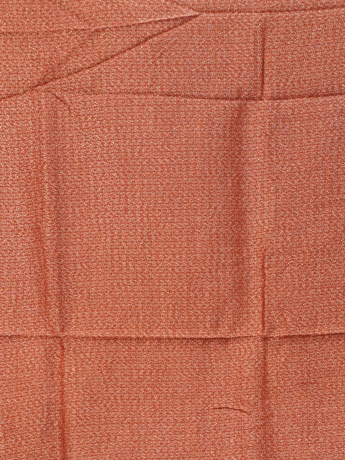 Banarasi Raw Silk Saree | TTDS3472