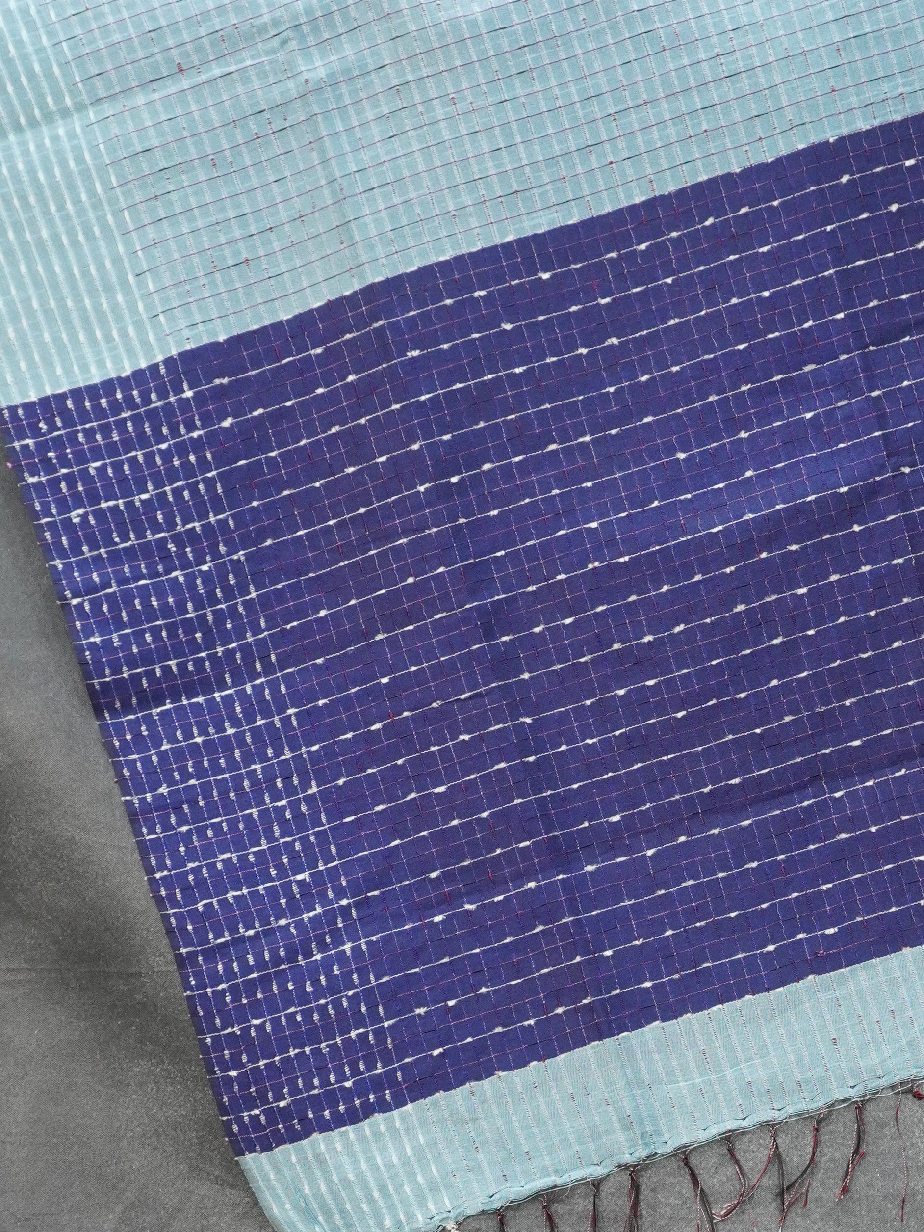 Handloom Raw Silk Saree | TTDS2337