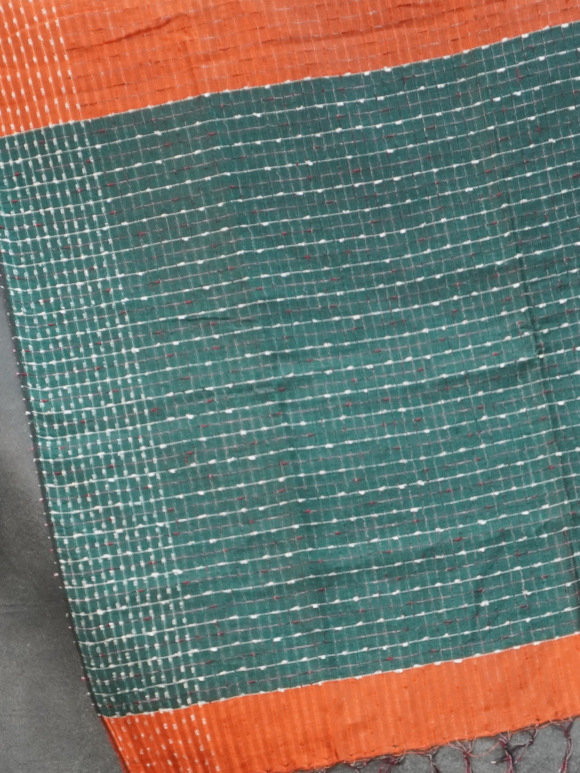 Handloom Raw Silk Saree | TTDS2337