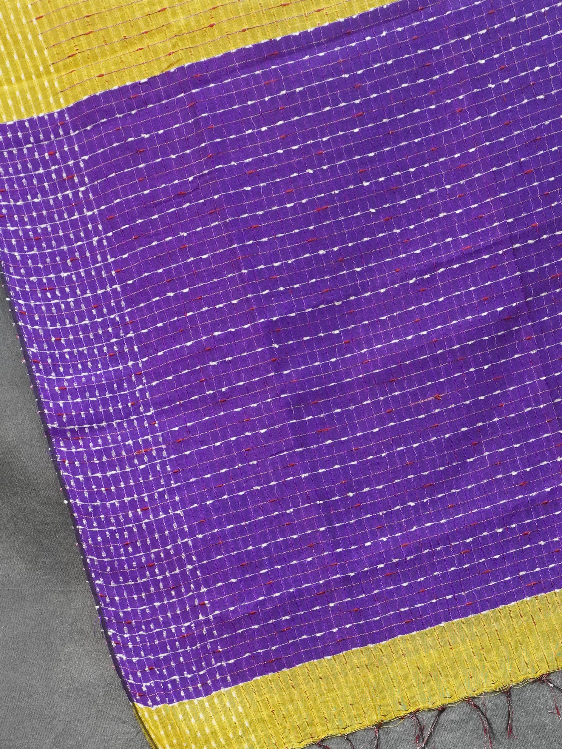 Handloom Raw Silk Saree | TTDS2337