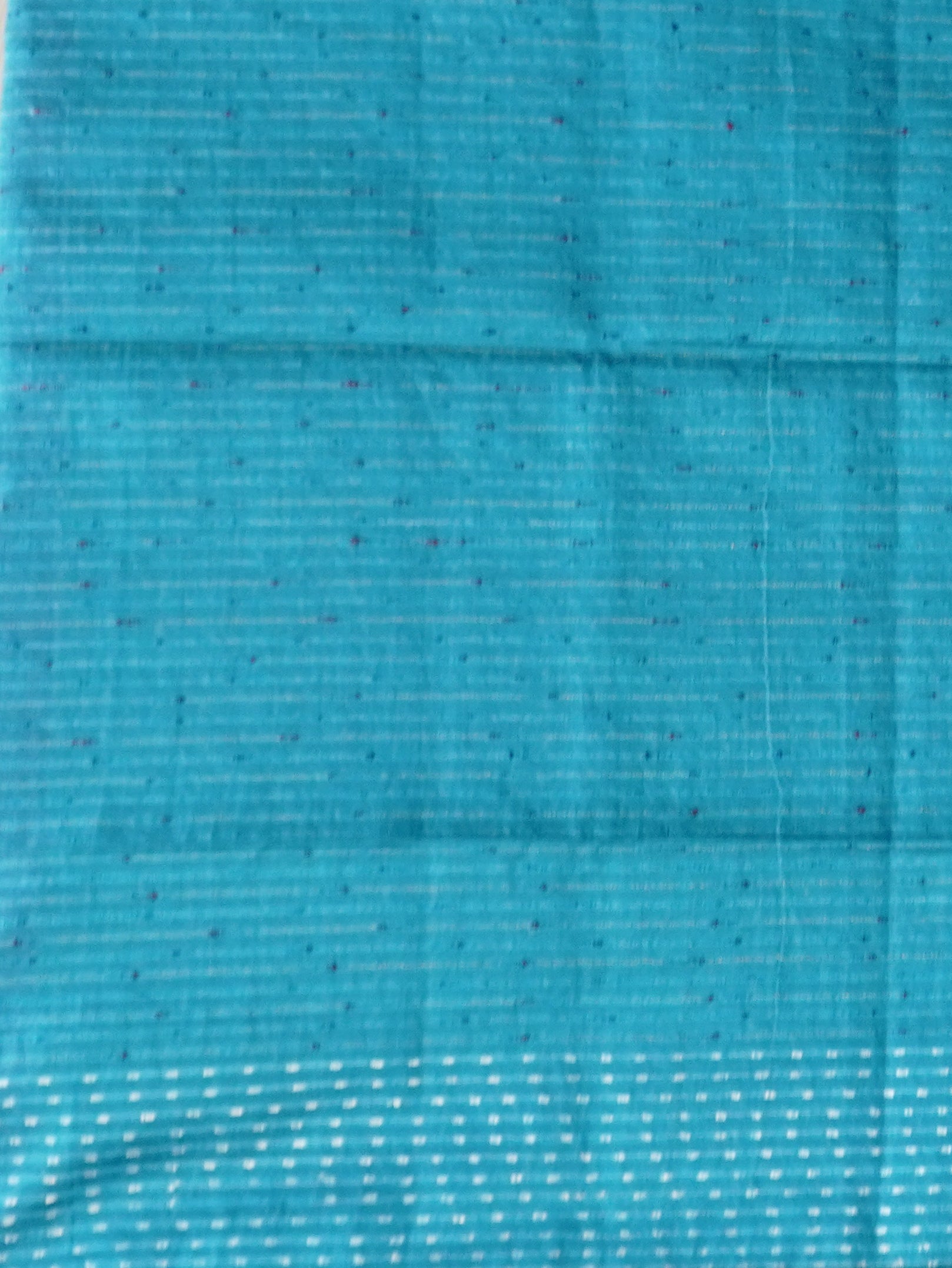 Handloom Raw Silk Saree | TTDS2337