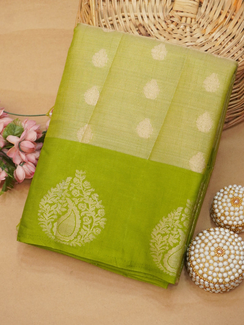 Tissue Silk Saree | TTDS3483