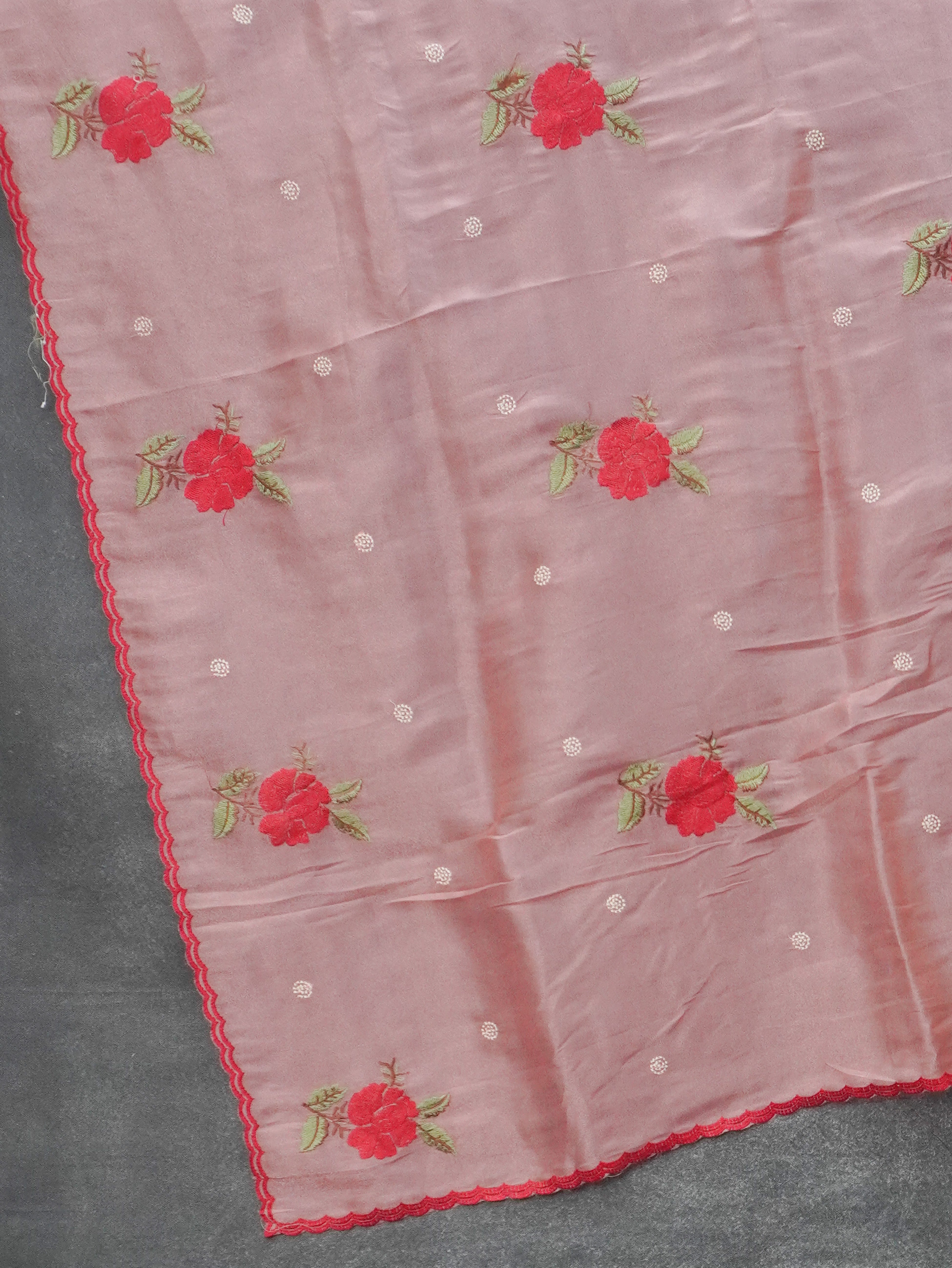 Organza Saree | TTDS3485