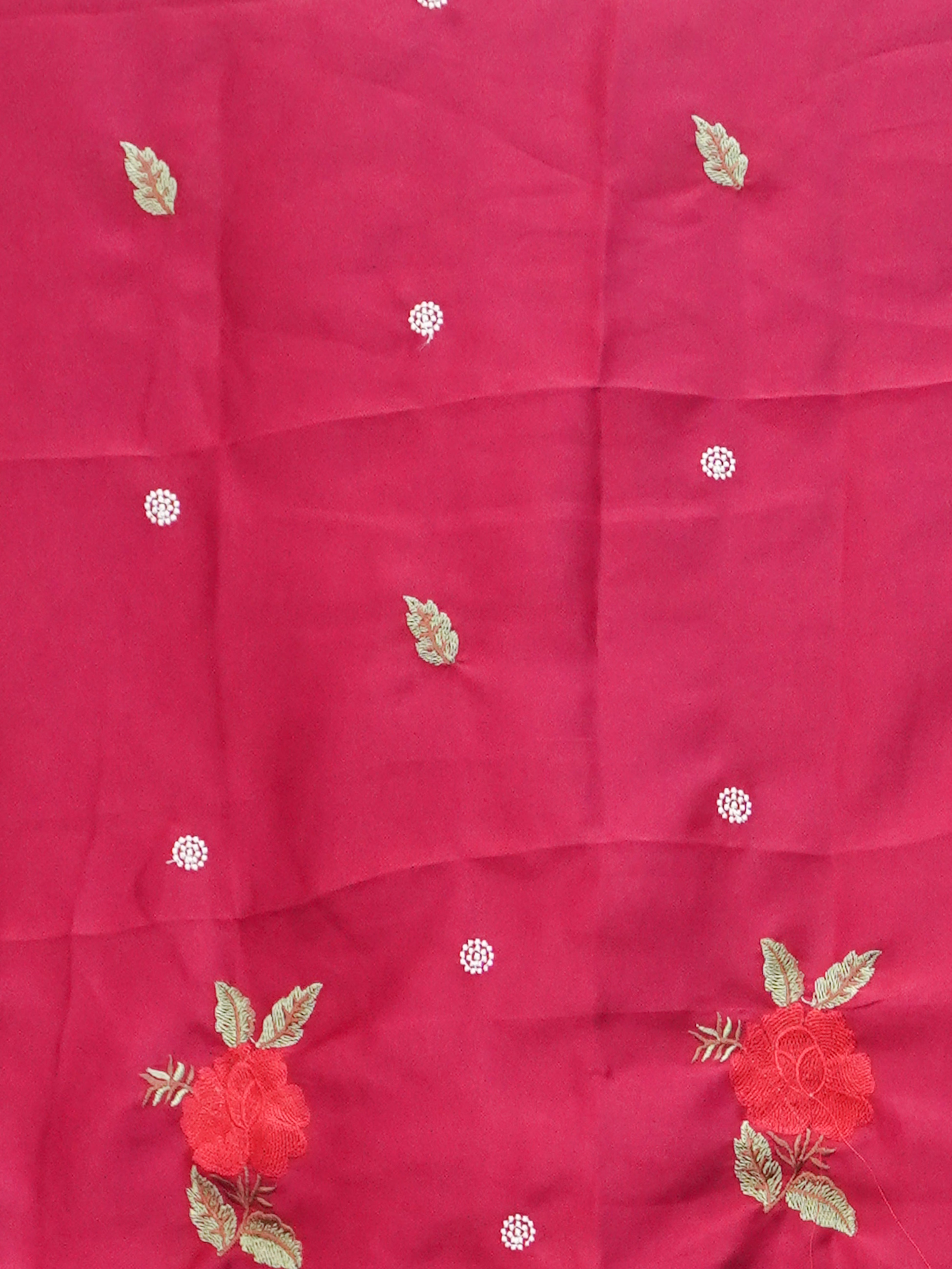 Organza Saree | TTDS3485