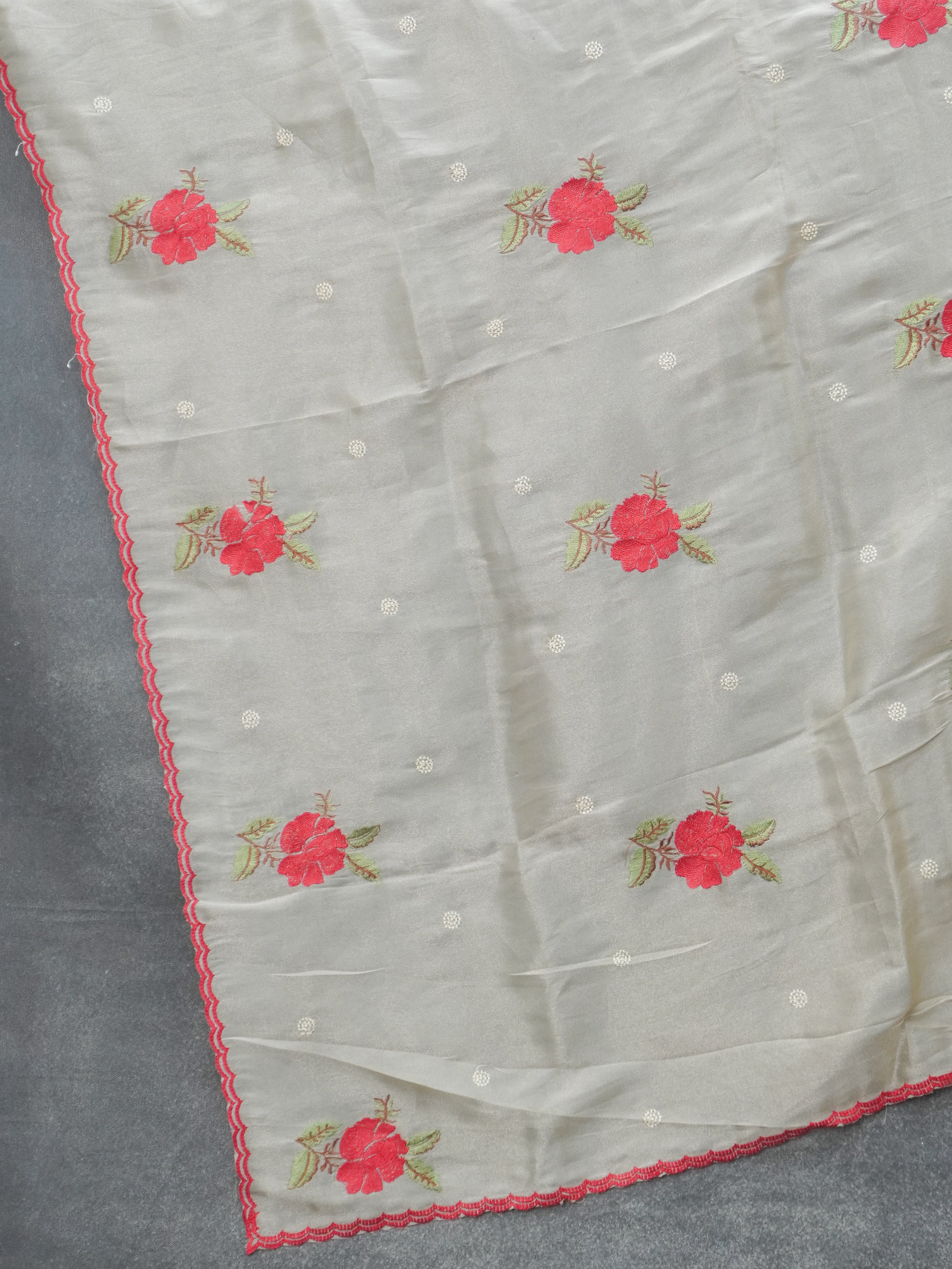 Organza Saree | TTDS3485