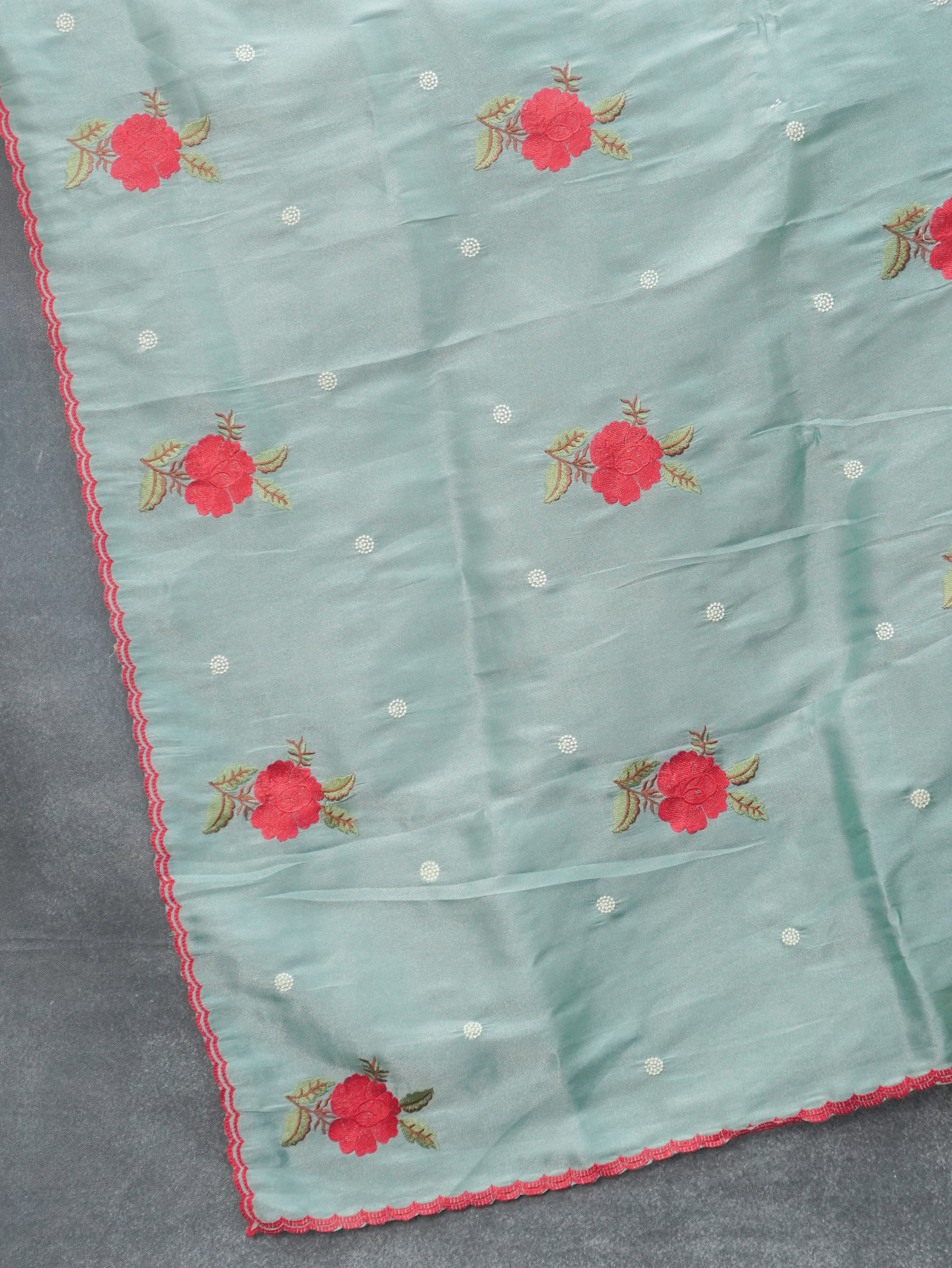 Organza Saree | TTDS3485