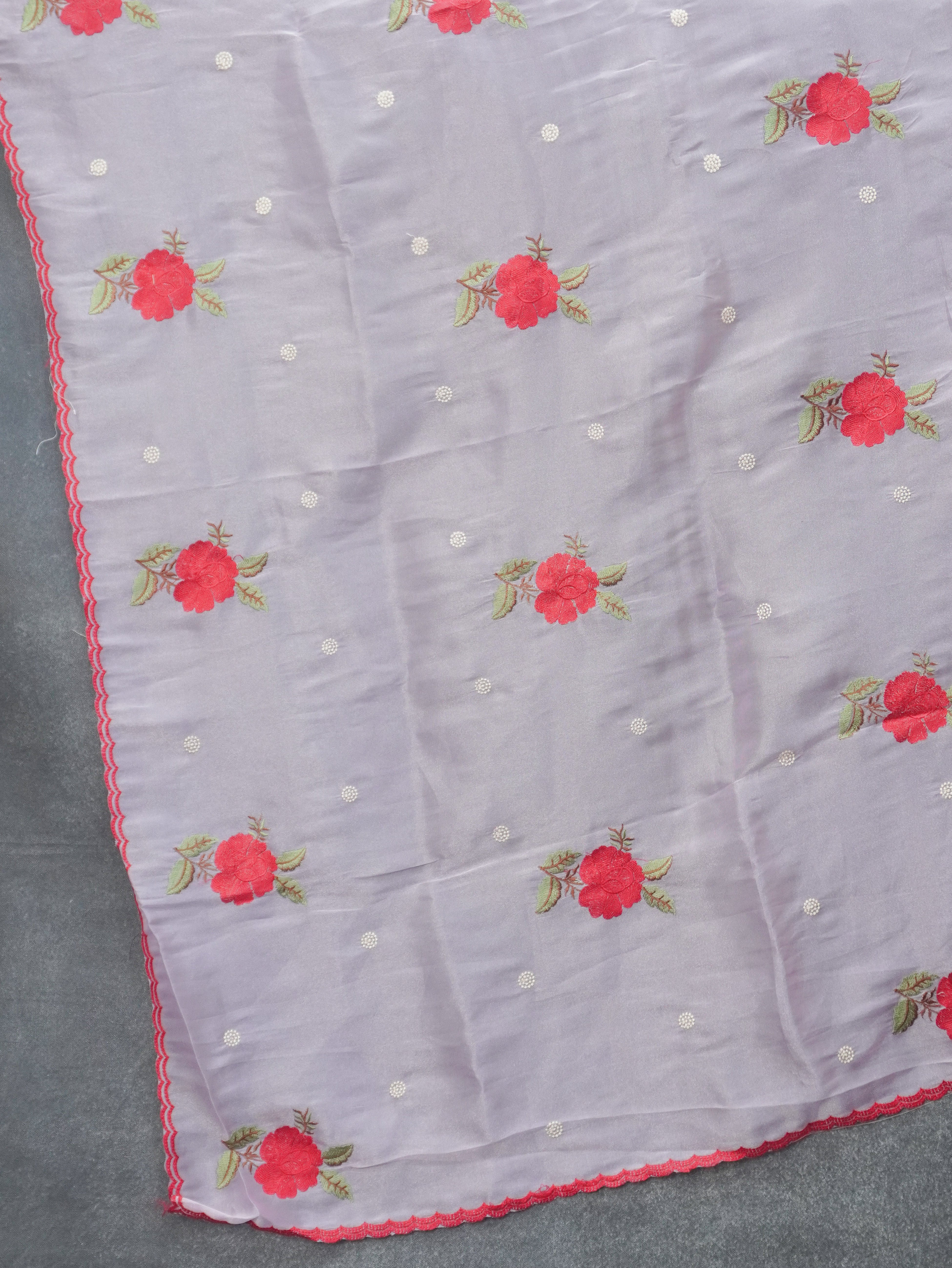 Organza Saree | TTDS3485