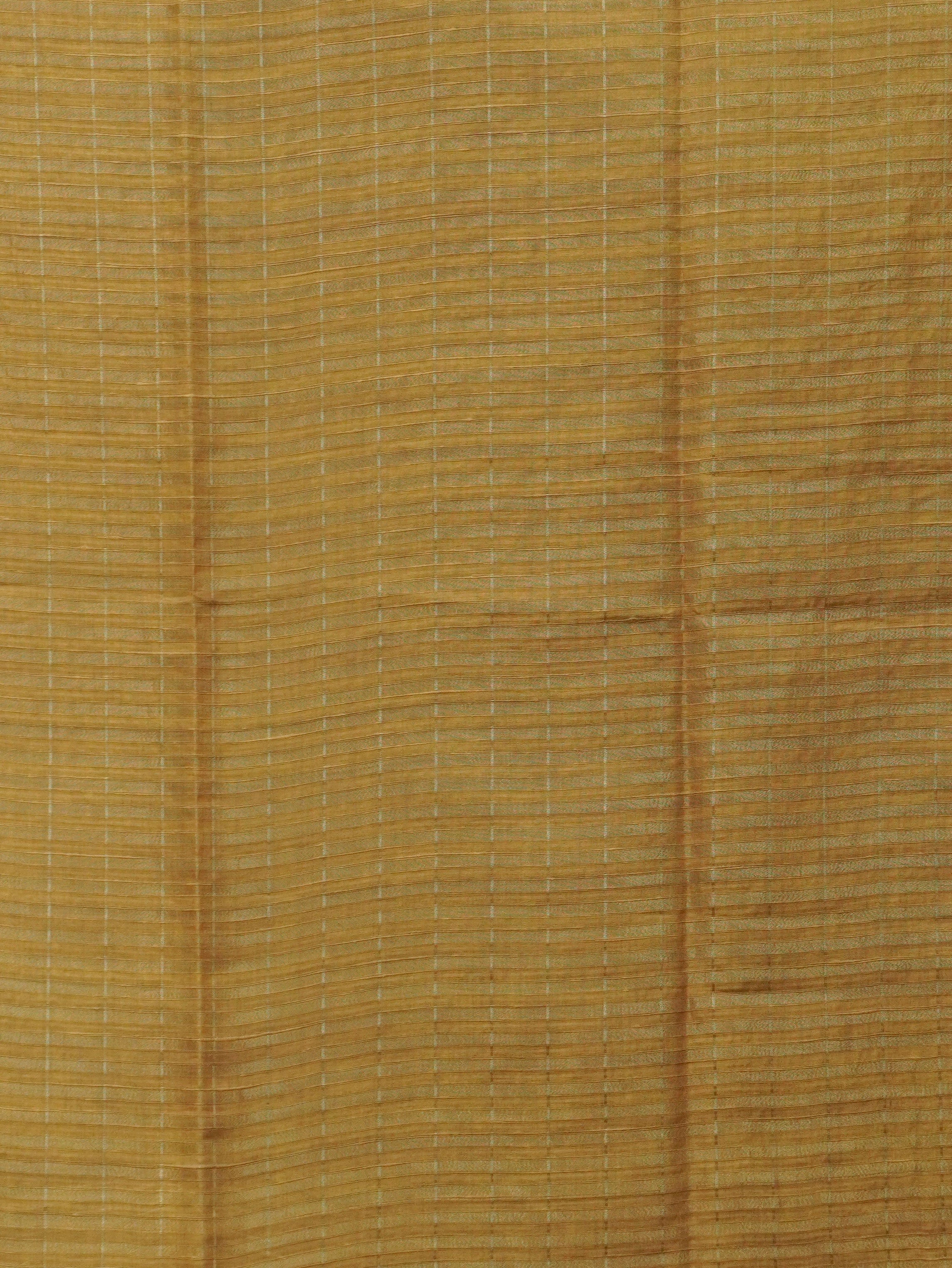 Tussar Saree | TTDS3499