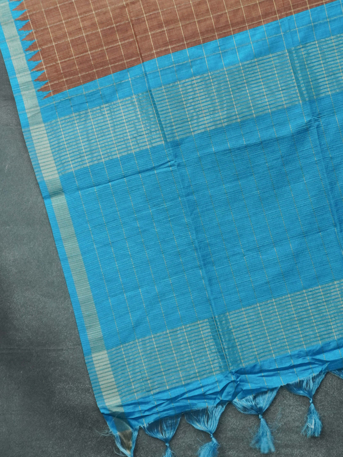 Tussar Saree | TTDS3499