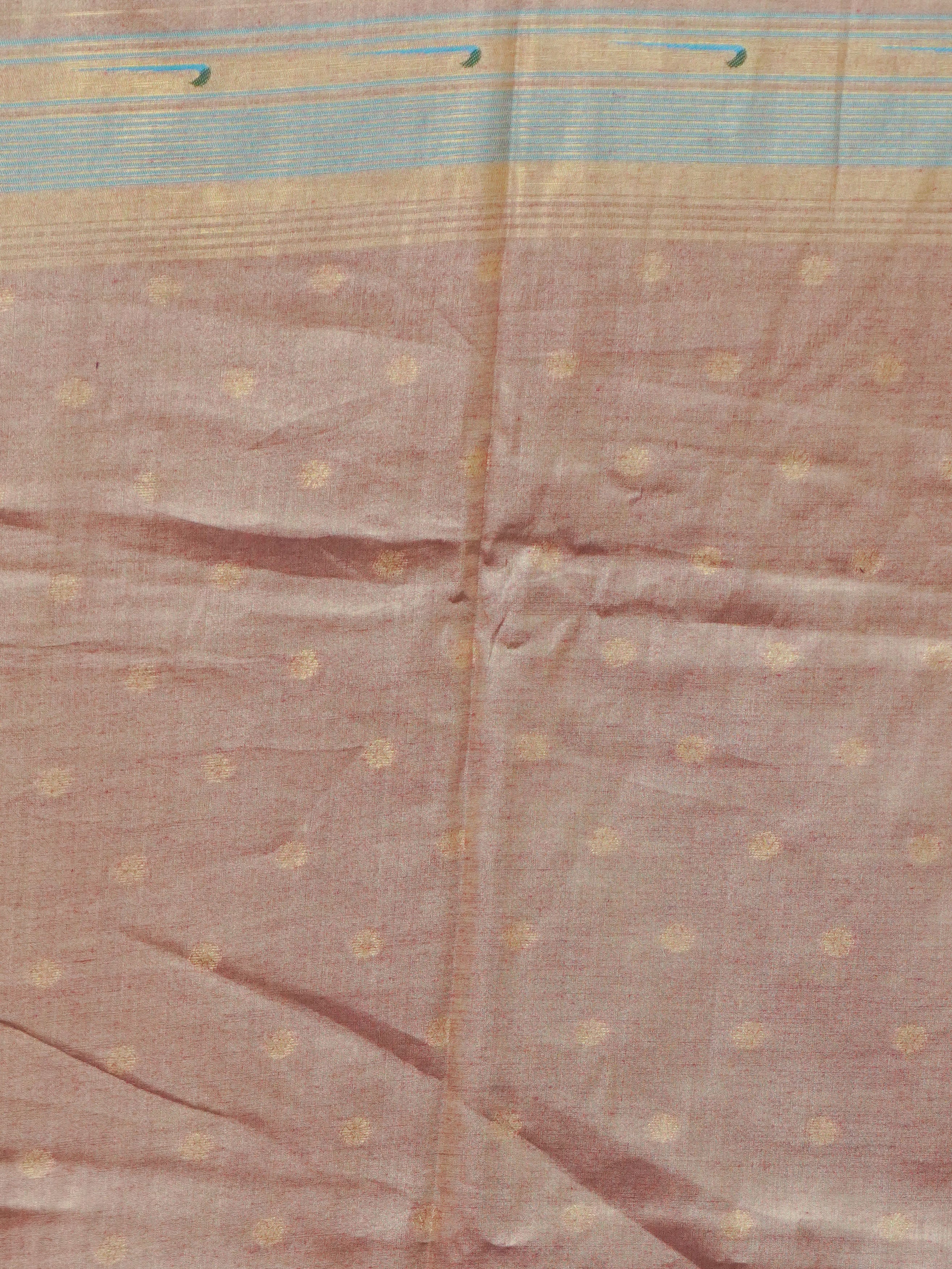 Tissue Silk Saree | TTDS3534