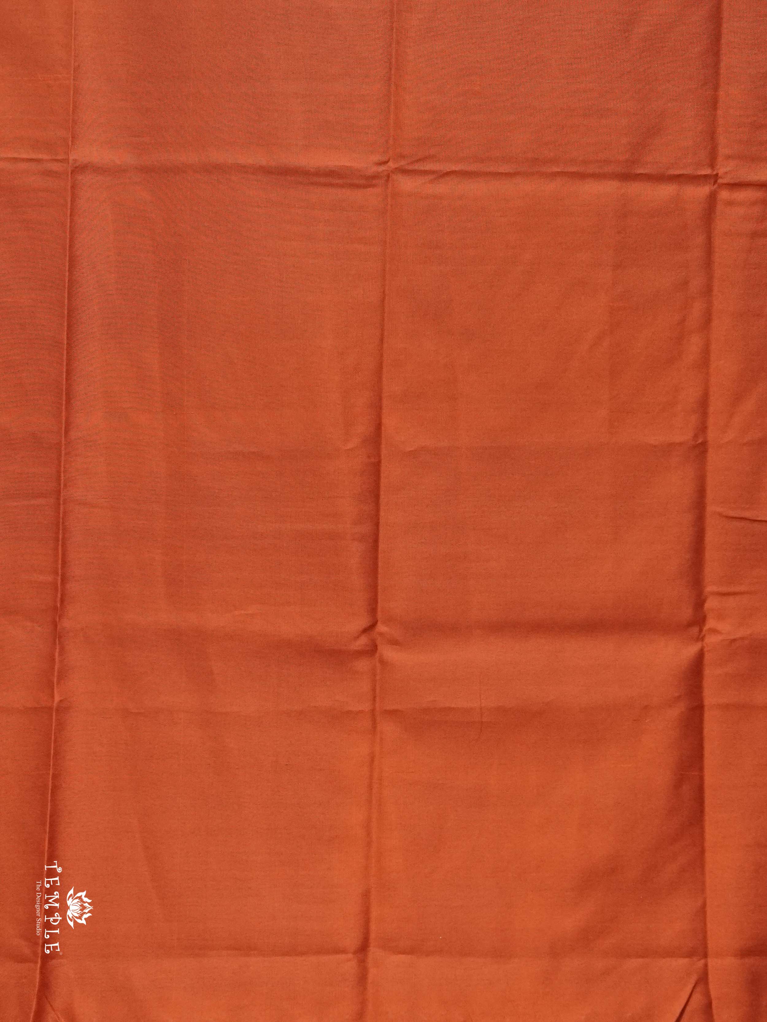 Raw Silk Saree with sequins Work | TTDS2100