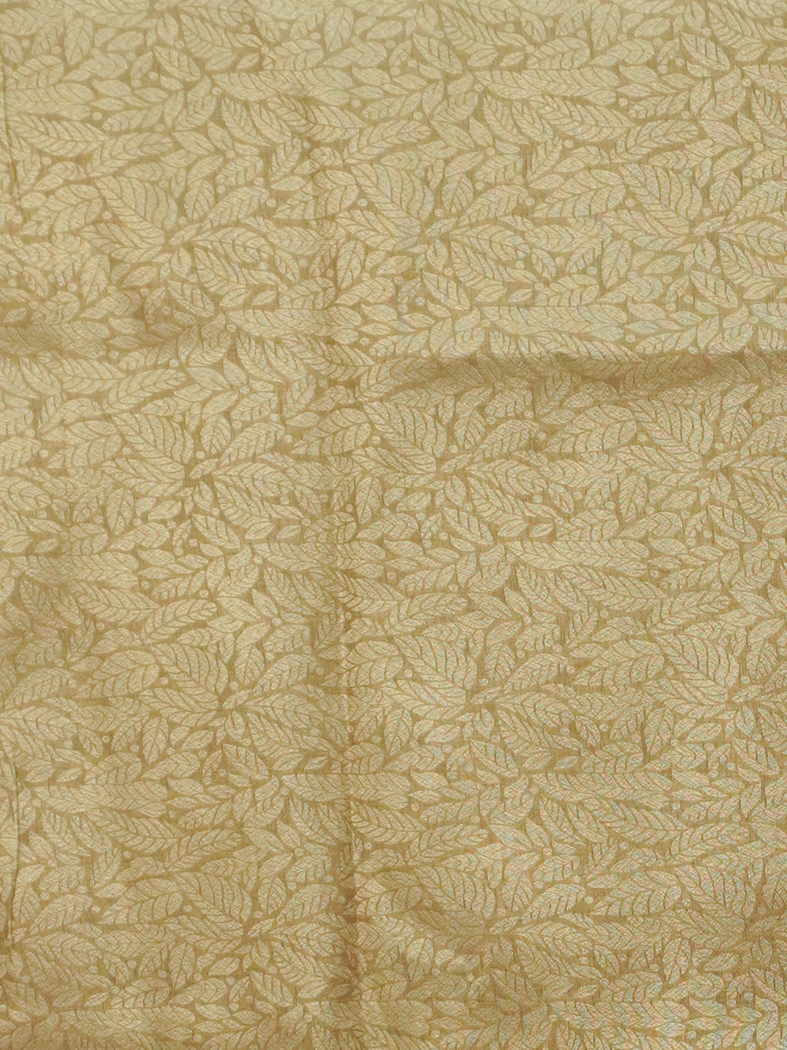 Chanderi Cotton Saree | TTDS3513