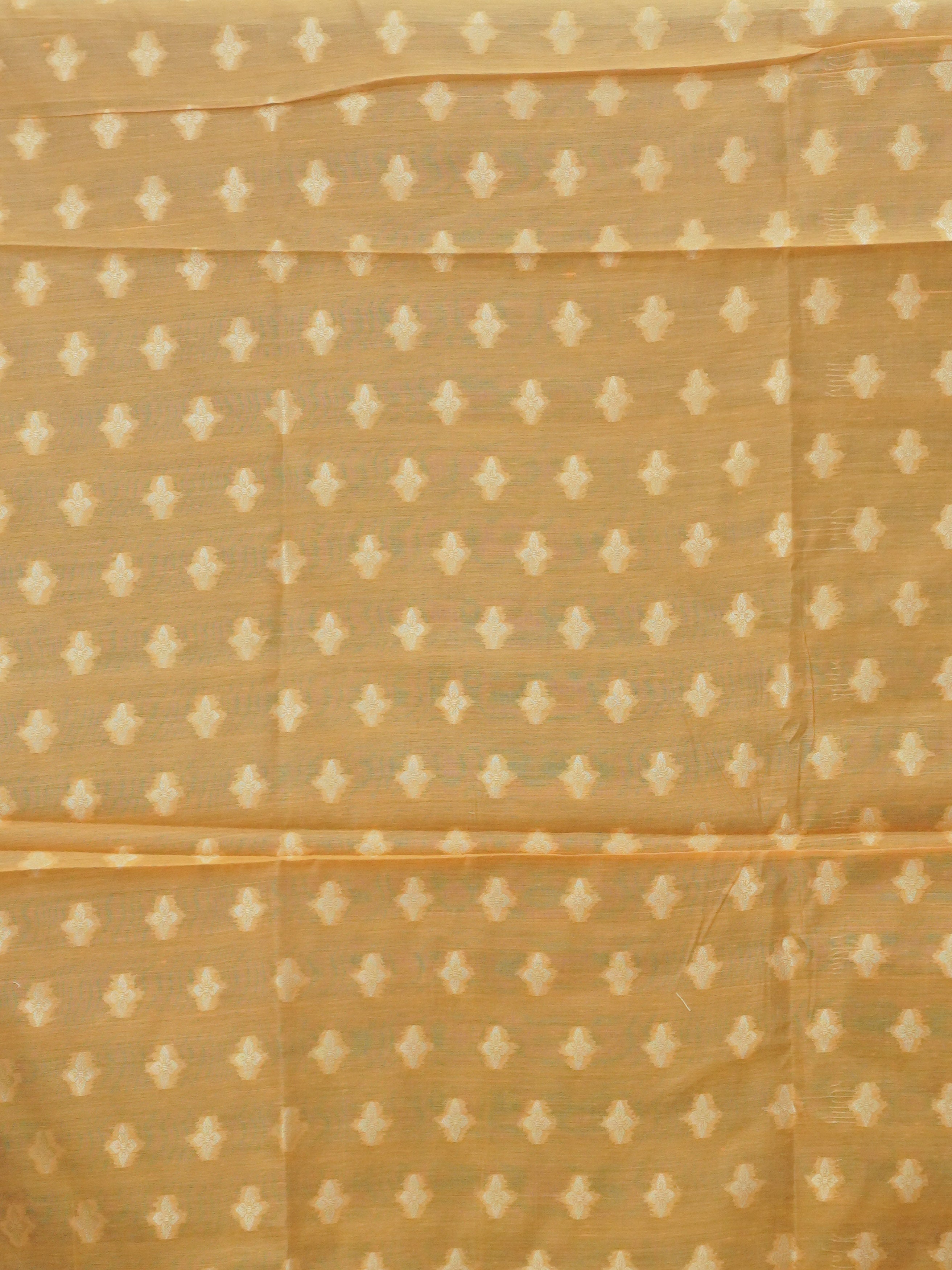 Chanderi Cotton Saree | TTDS3512