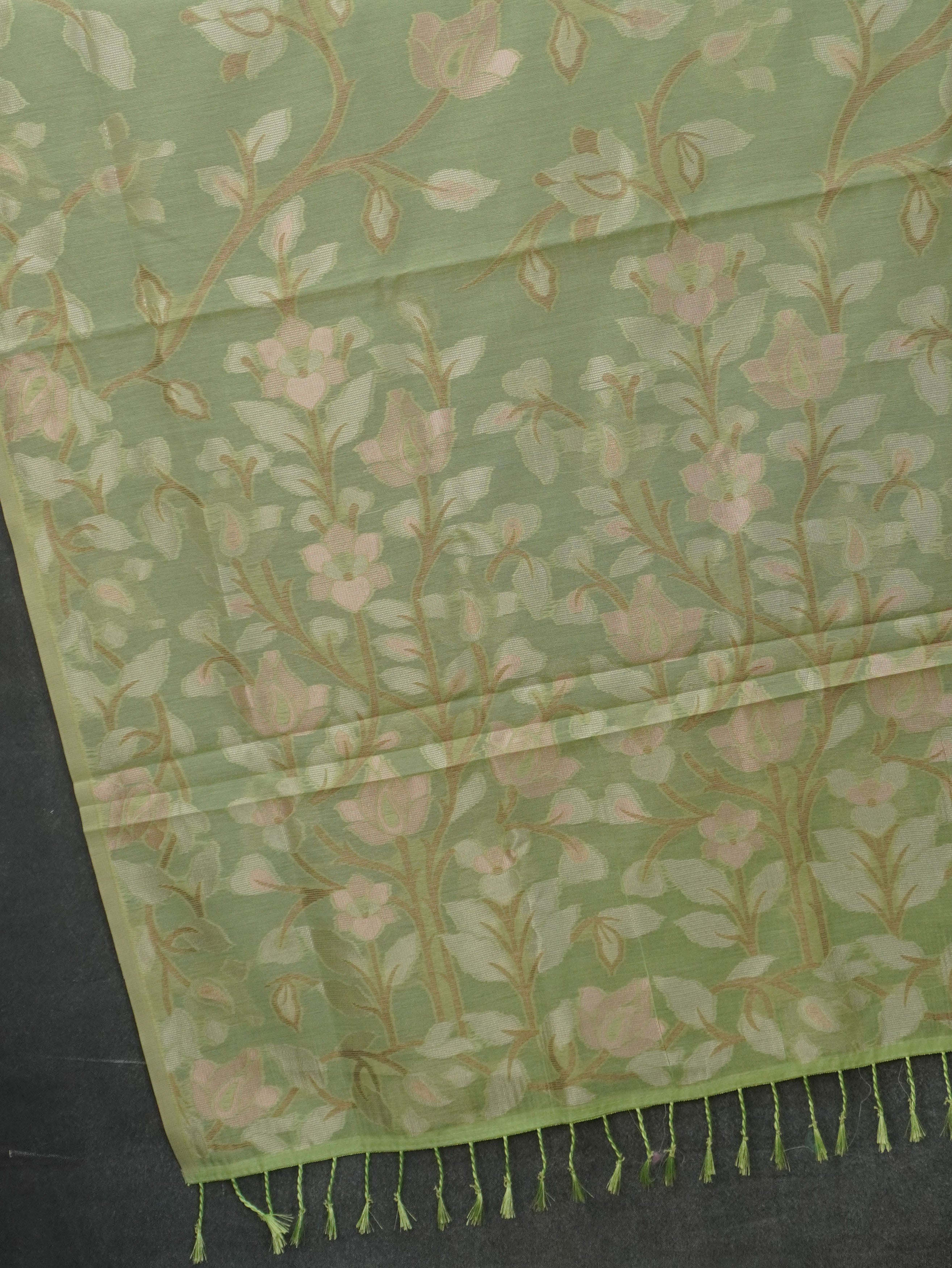 Chanderi Silk Cotton Saree | TTDS3517