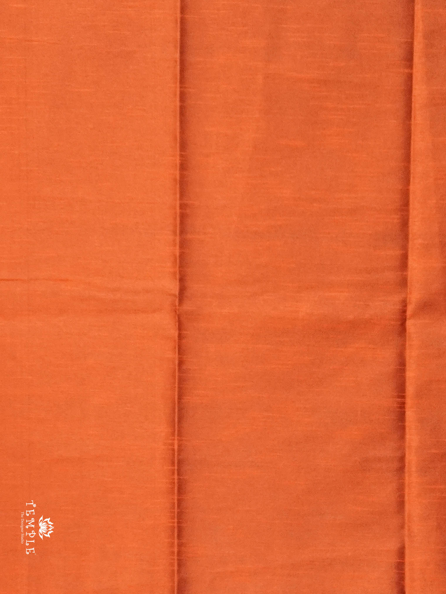 Raw Silk Saree with sequins Work | TTDS2100