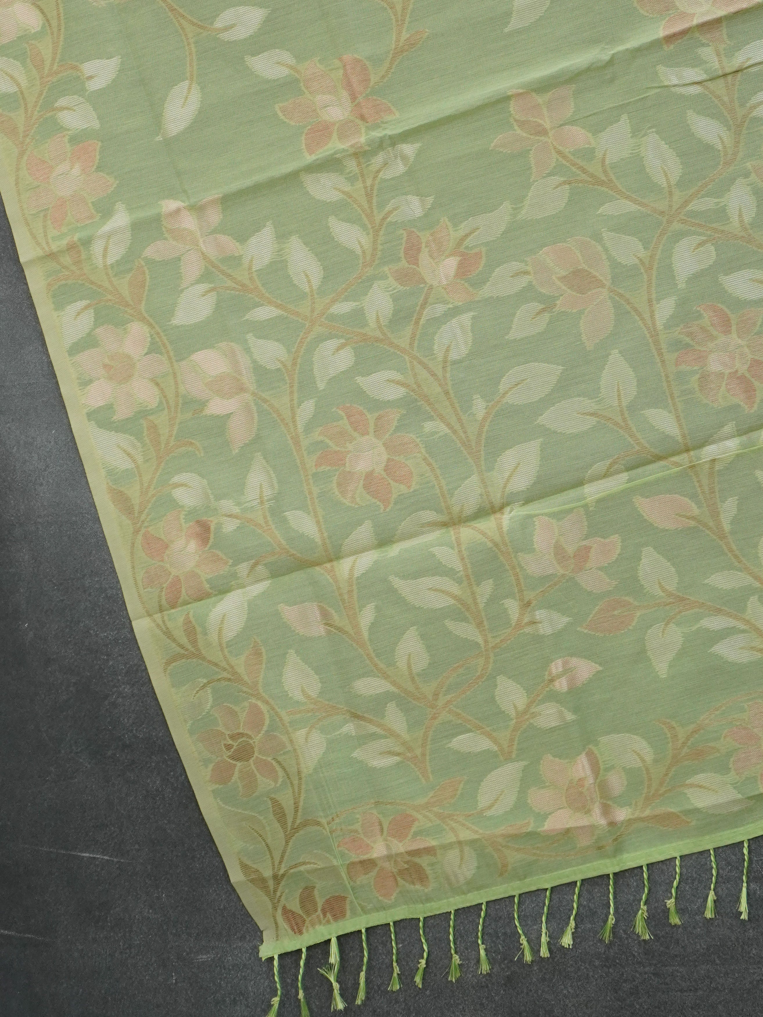 Chanderi Silk Cotton Saree | TTDS3519