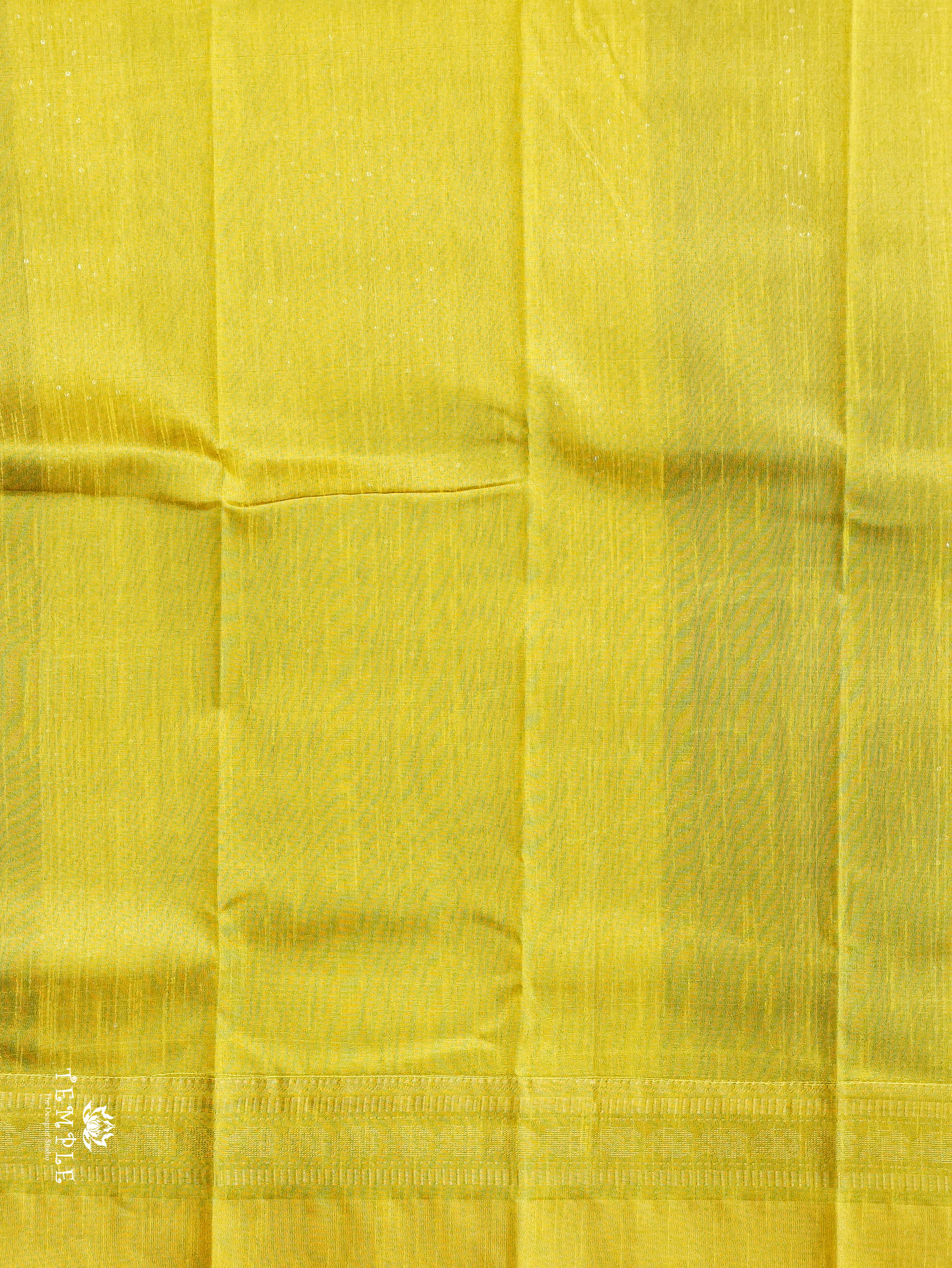 Raw Silk Saree With Sequins Work | TTDS3035