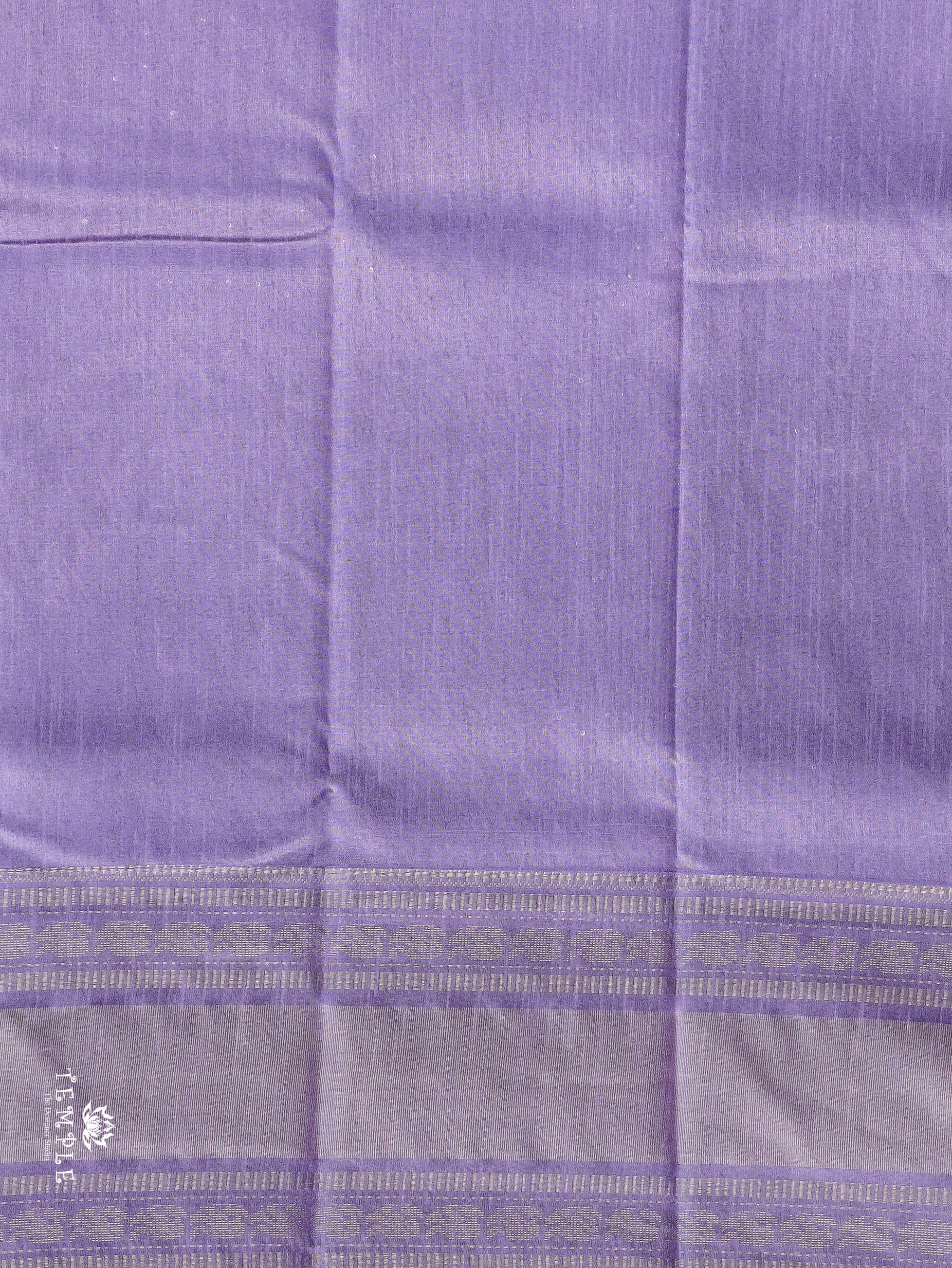 Raw Silk Saree With Sequins Work | TTDS3035
