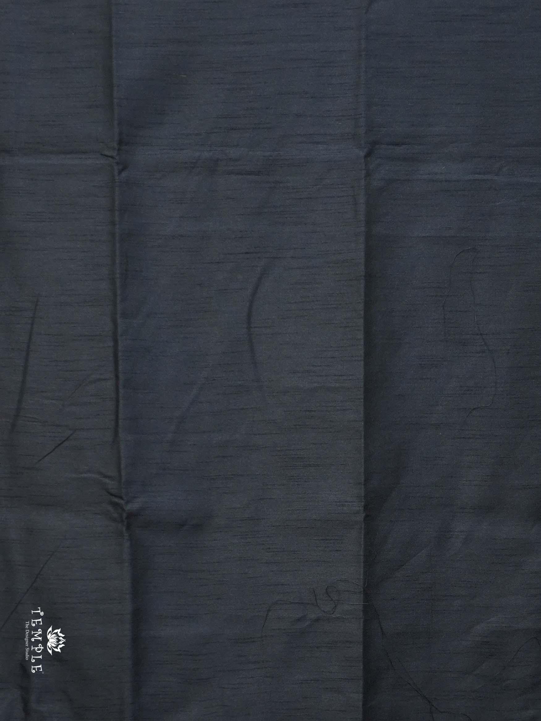 Raw Silk Saree with sequins Work | TTDS2100
