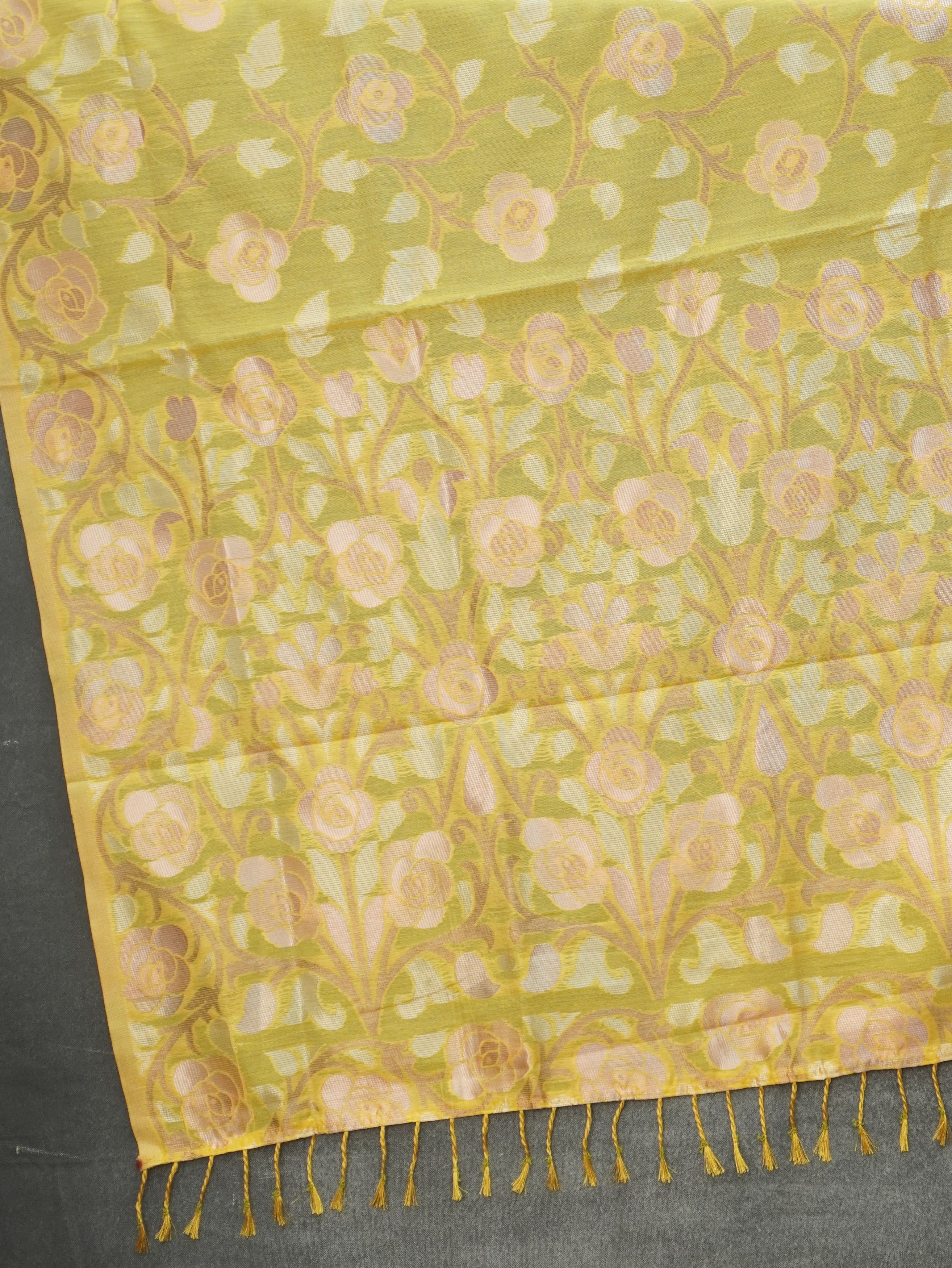 Chanderi Silk Cotton Saree | TTDS3521
