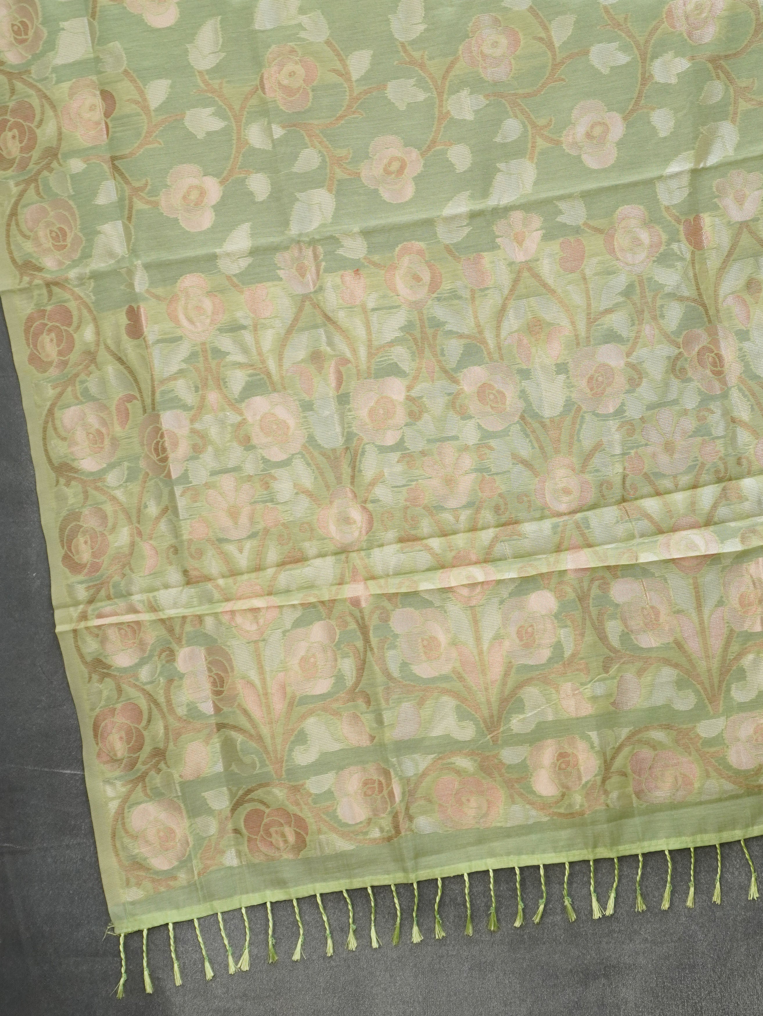 Chanderi Silk Cotton Saree | TTDS3521