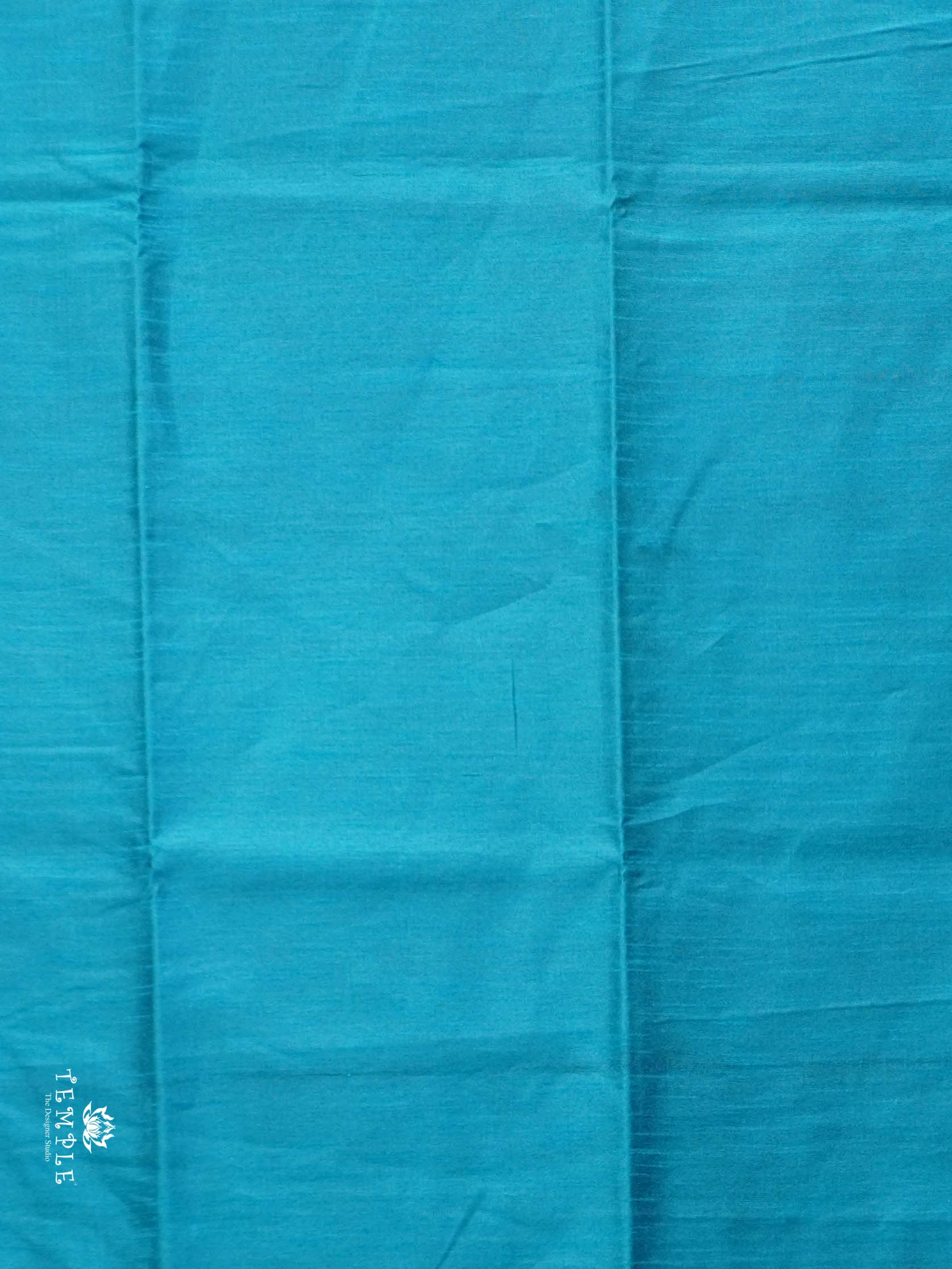 Raw Silk Saree with sequins Work | TTDS2100