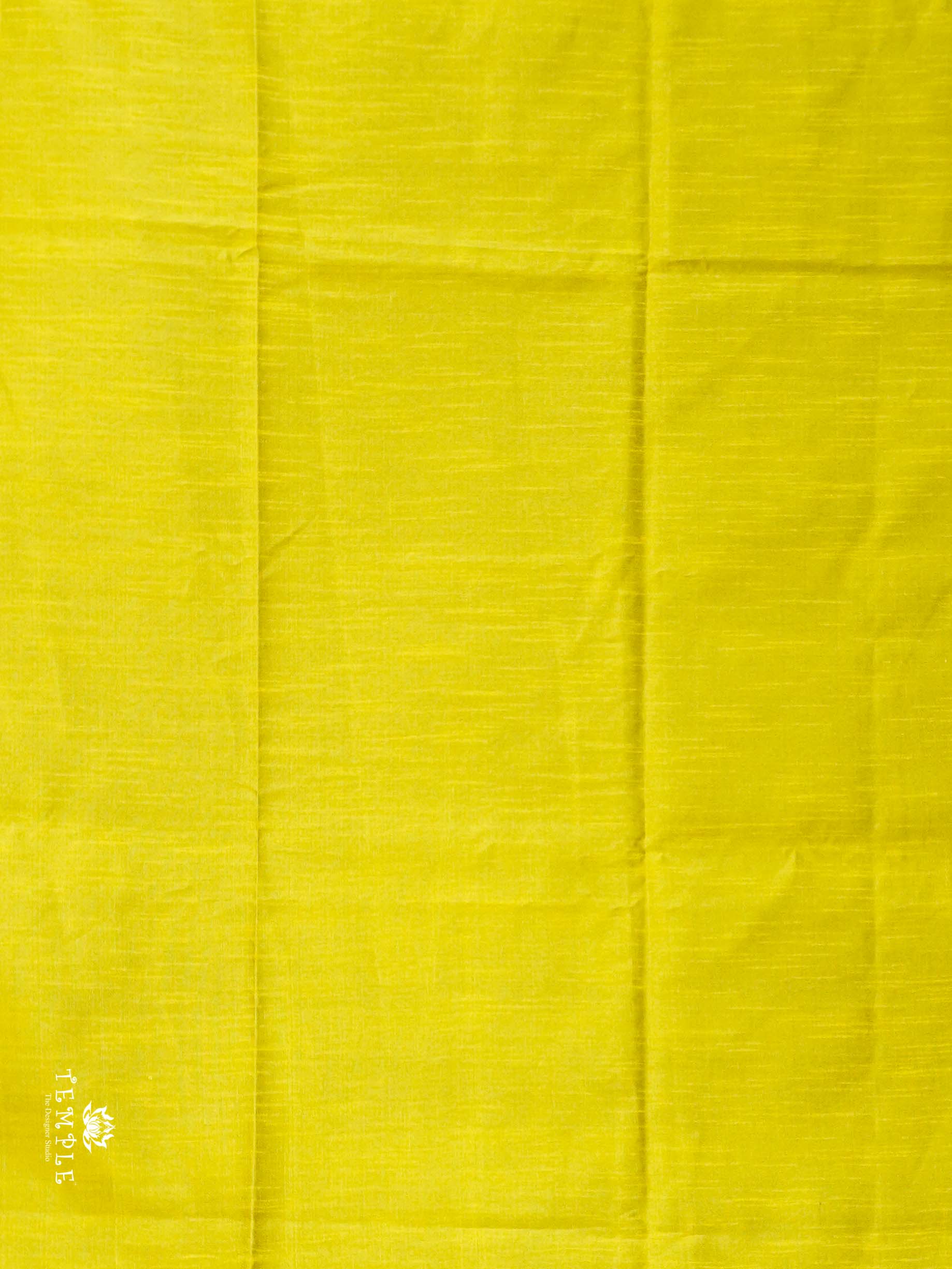 Raw Silk Saree with sequins Work | TTDS2100