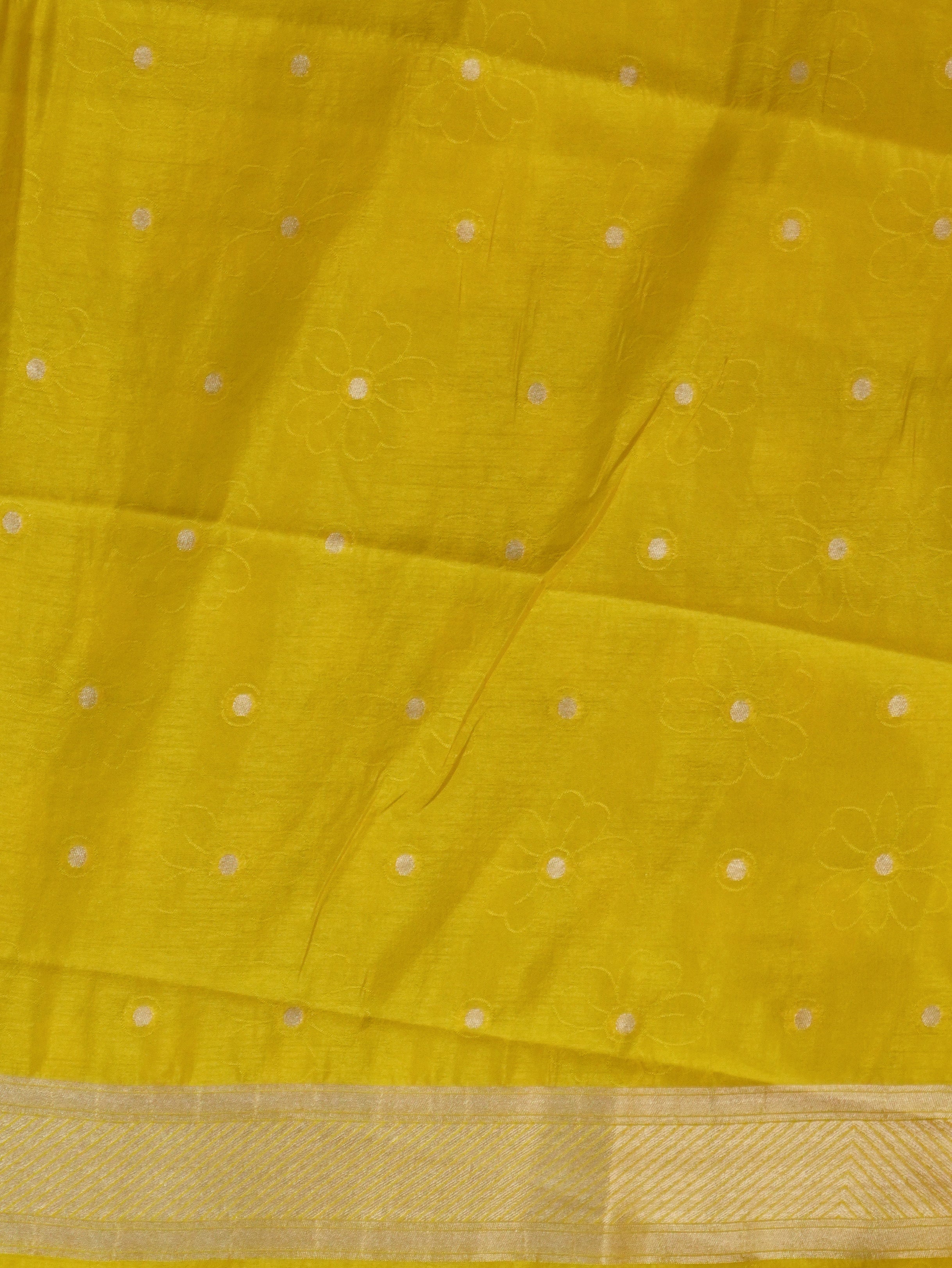 Tissue Tussar Silk Saree | TTDS3556