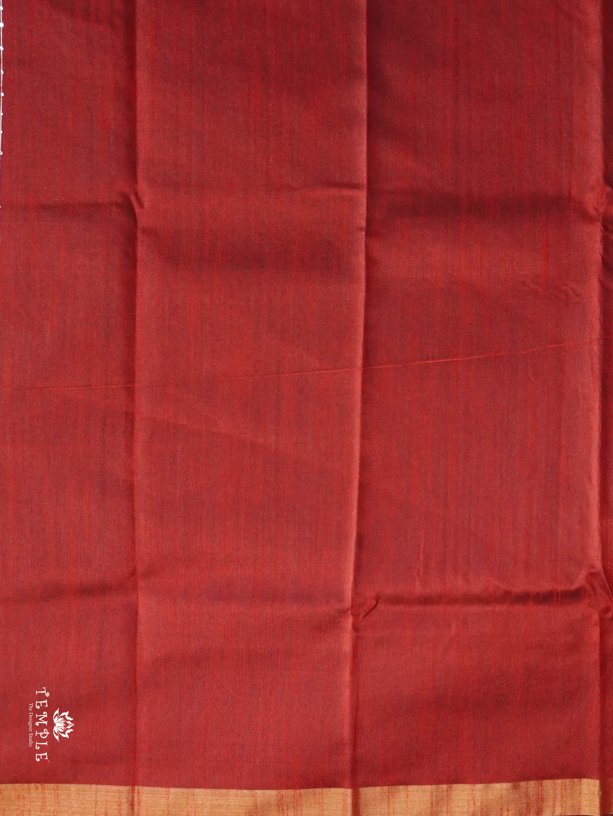 Raw Silk Saree With Sequins Work | TTDS3035